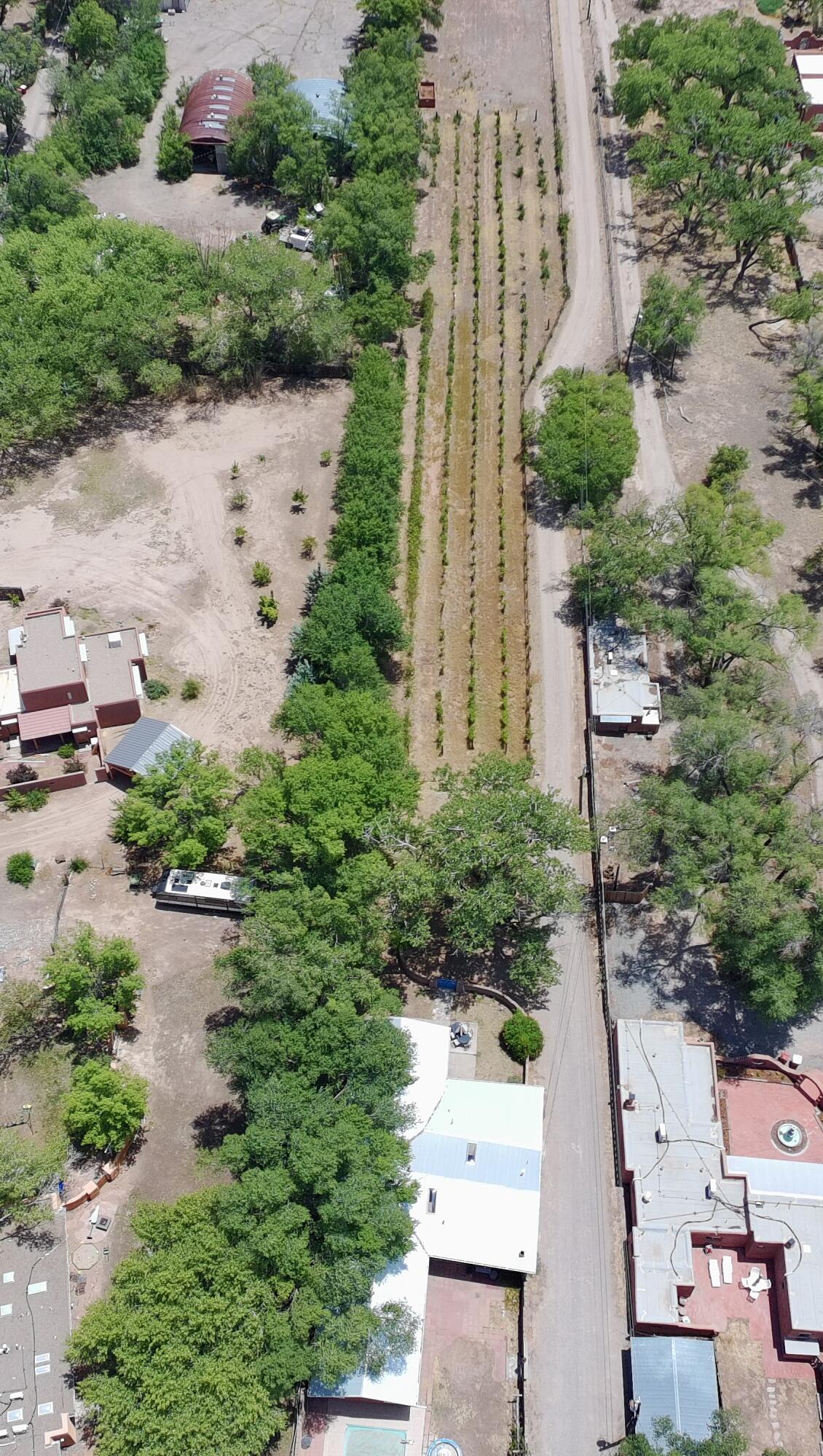 Photo 10 — 3821 CORRALES Road