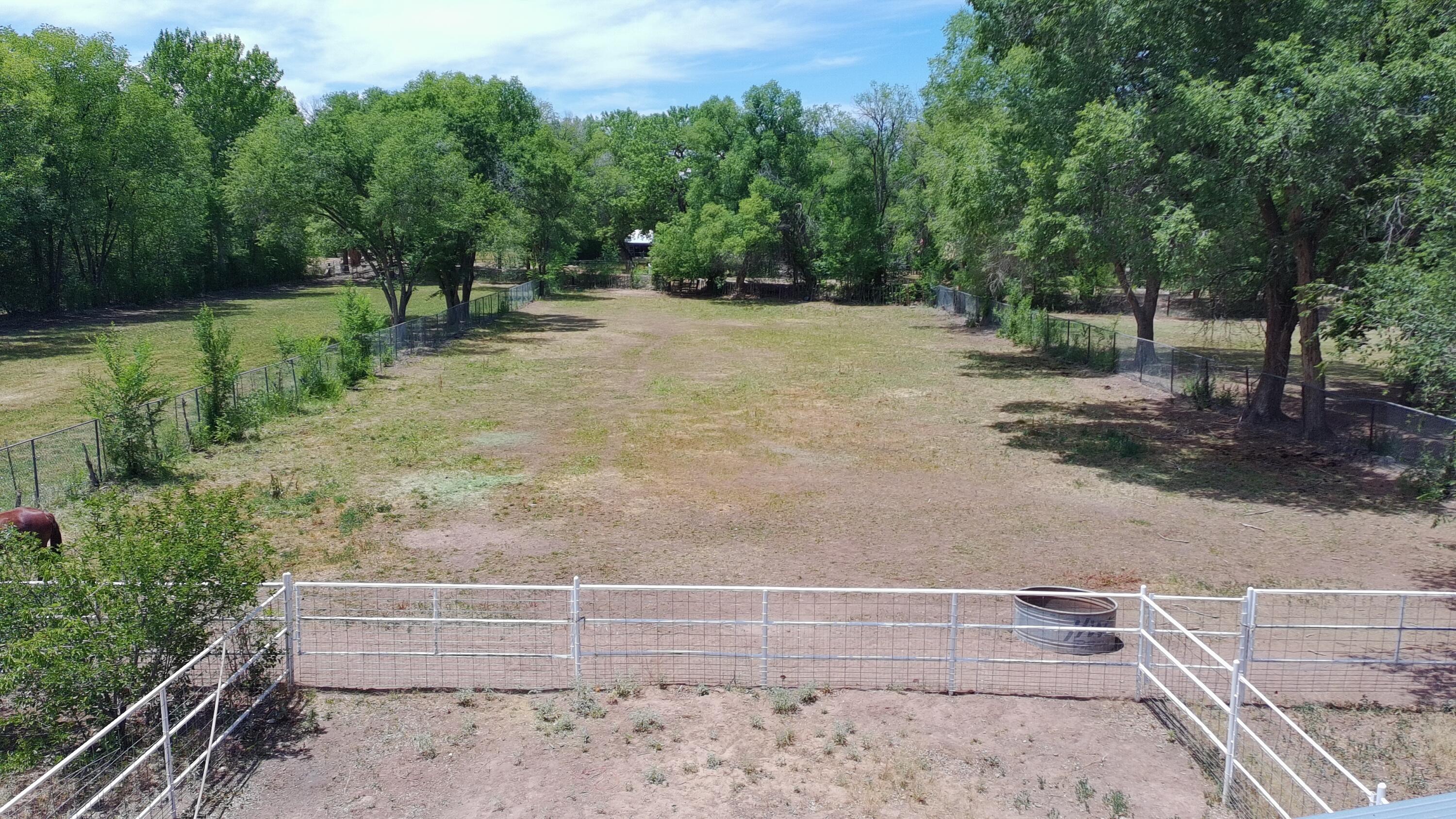 Photo 11 — 3821 CORRALES Road