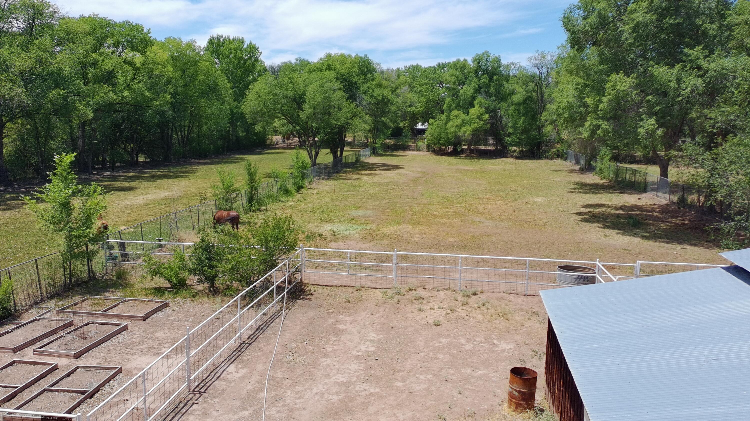 Photo 12 — 3821 CORRALES Road