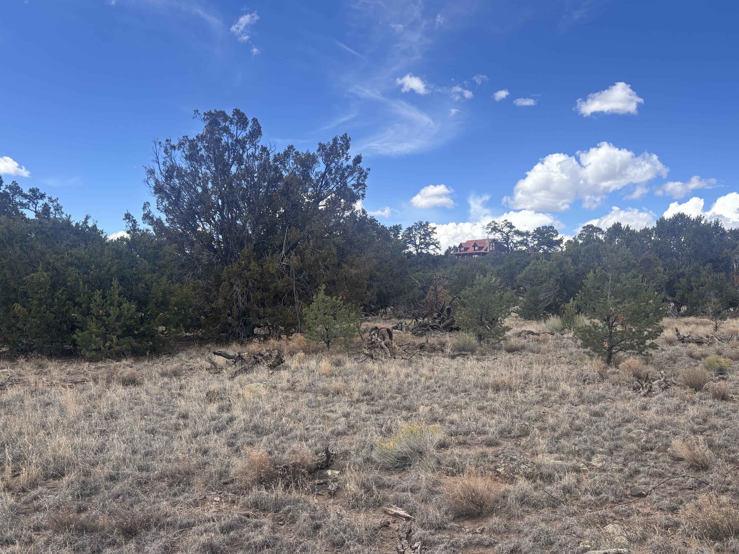Photo 15 — 498 Starfire Loop