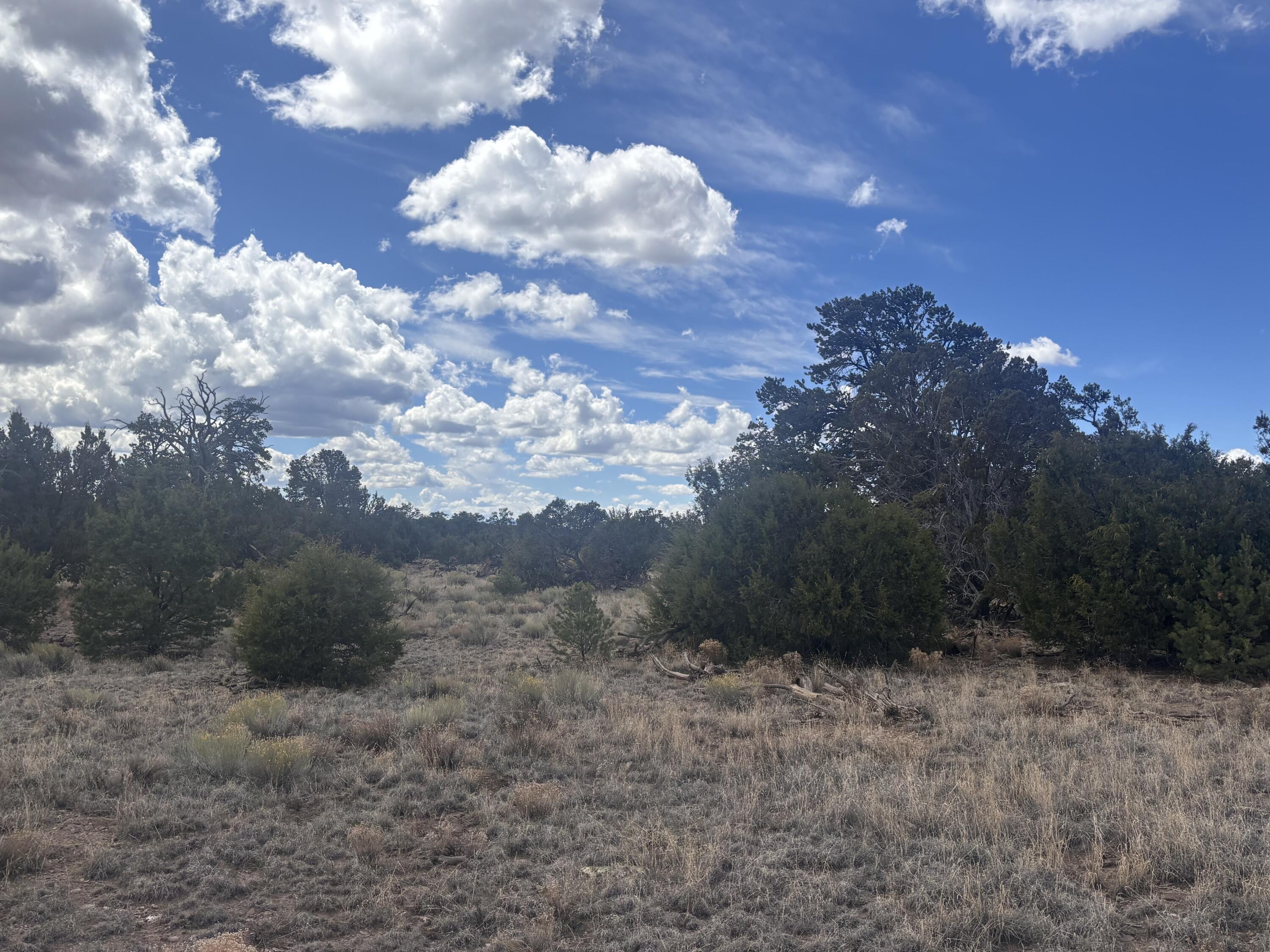 Photo 16 — 498 Starfire Loop