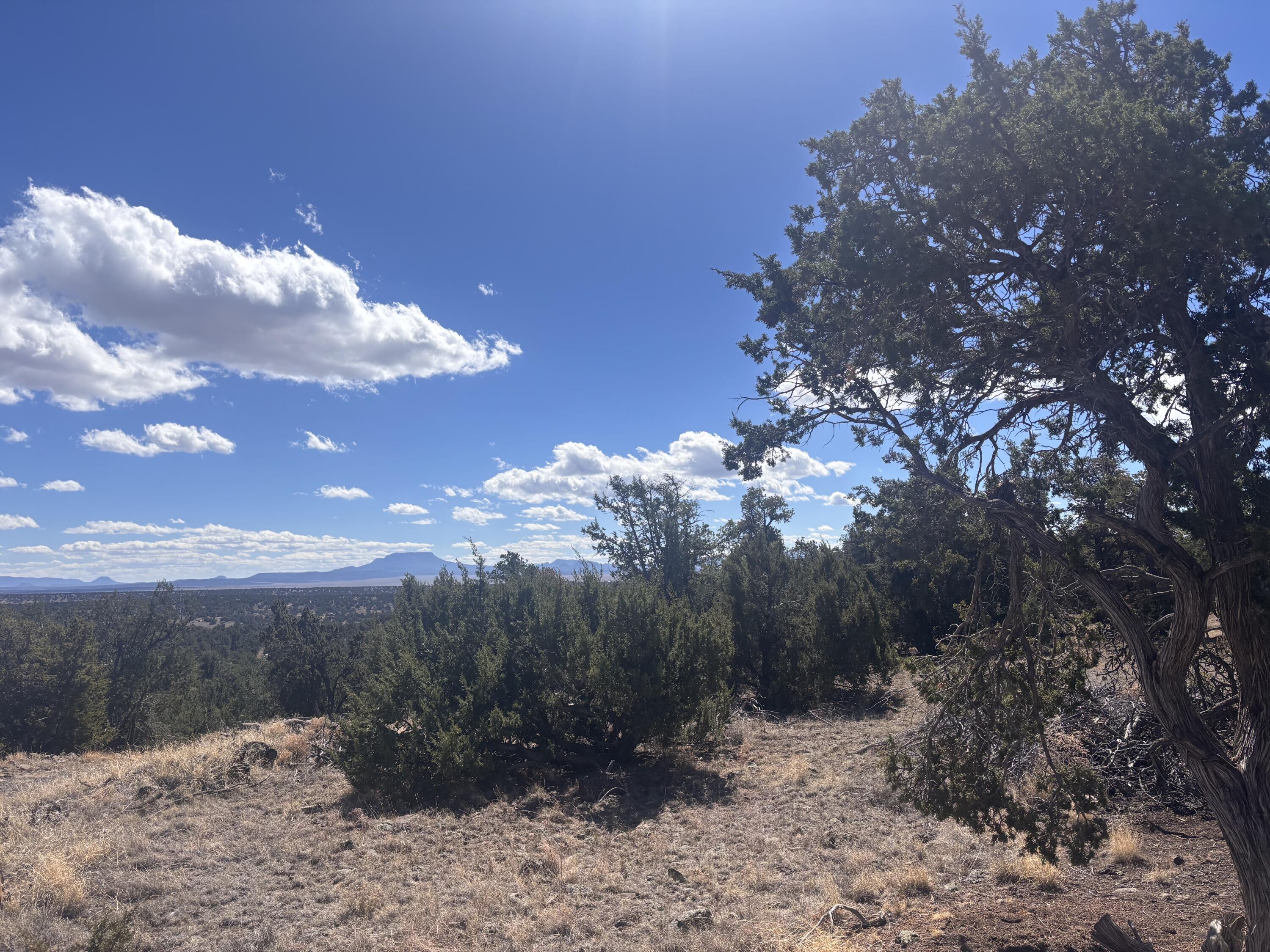 Photo 17 — 498 Starfire Loop