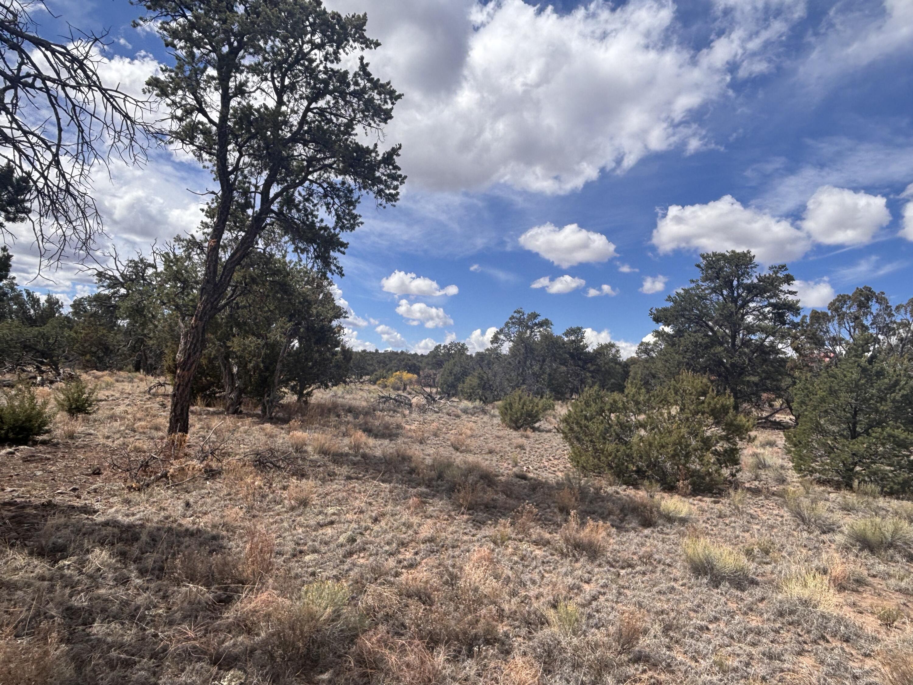Photo 19 — 498 Starfire Loop
