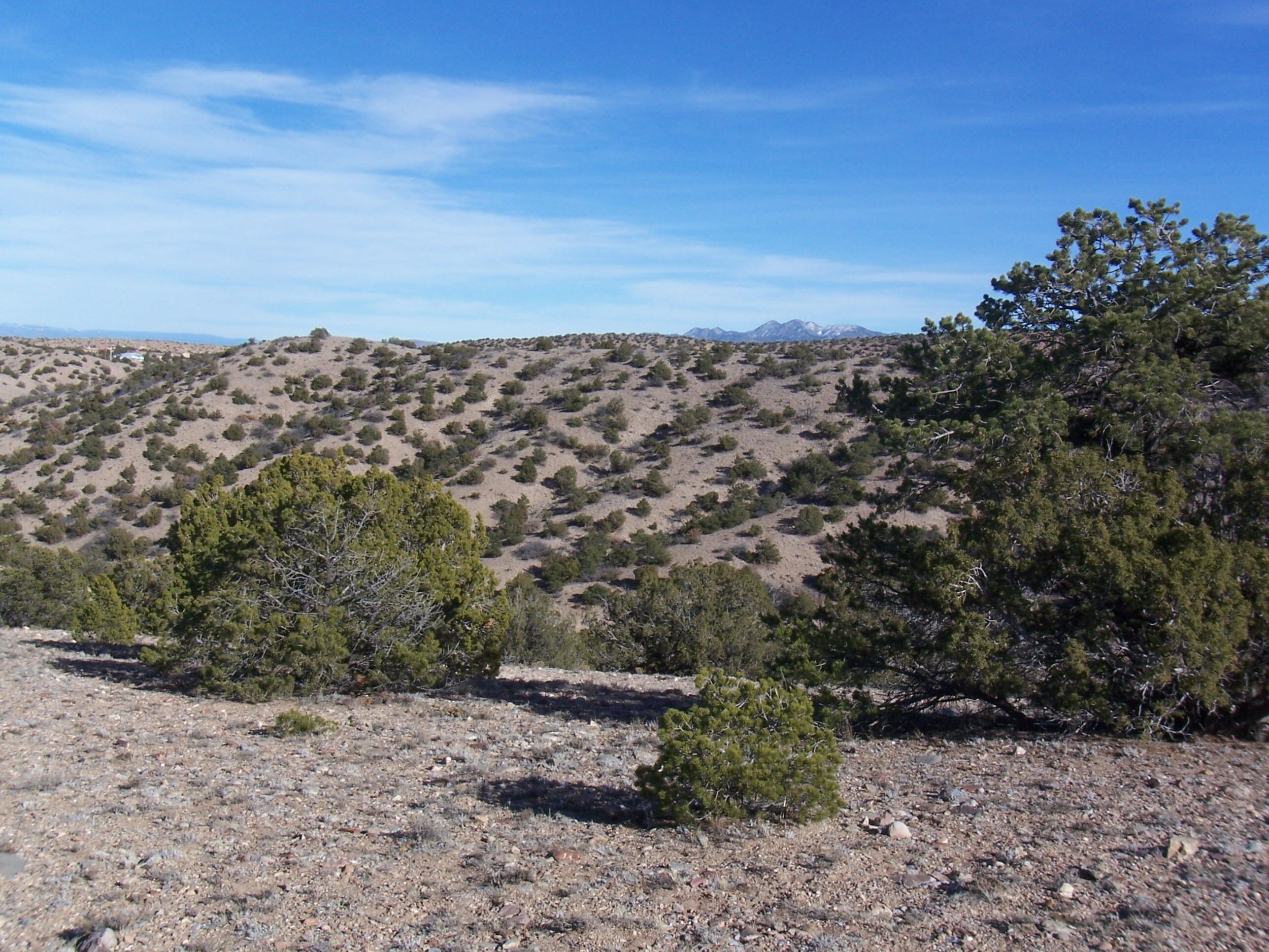 Photo 2 —  CAMINO HALCON