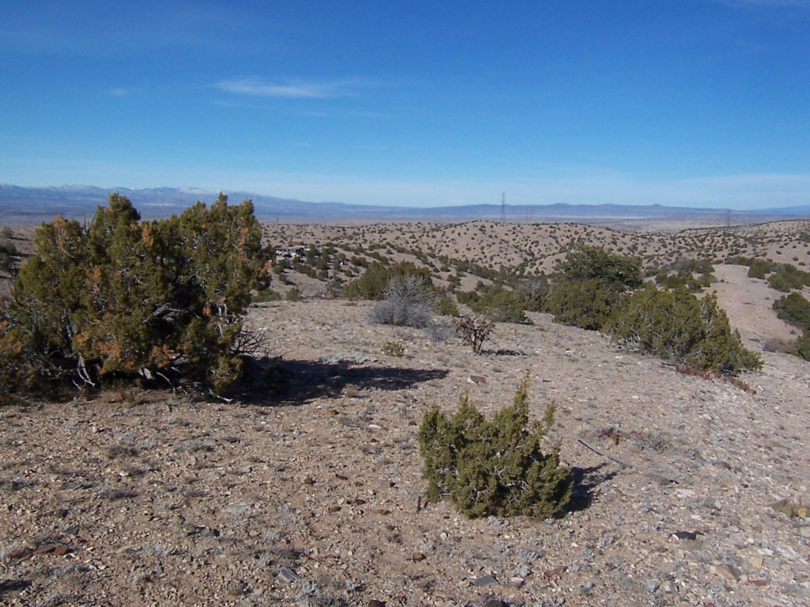 Photo 4 —  CAMINO HALCON