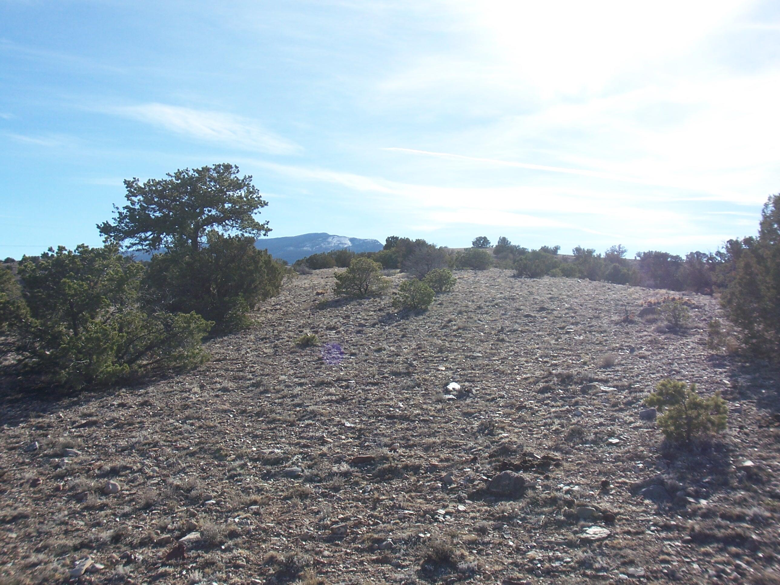 Photo 5 —  CAMINO HALCON