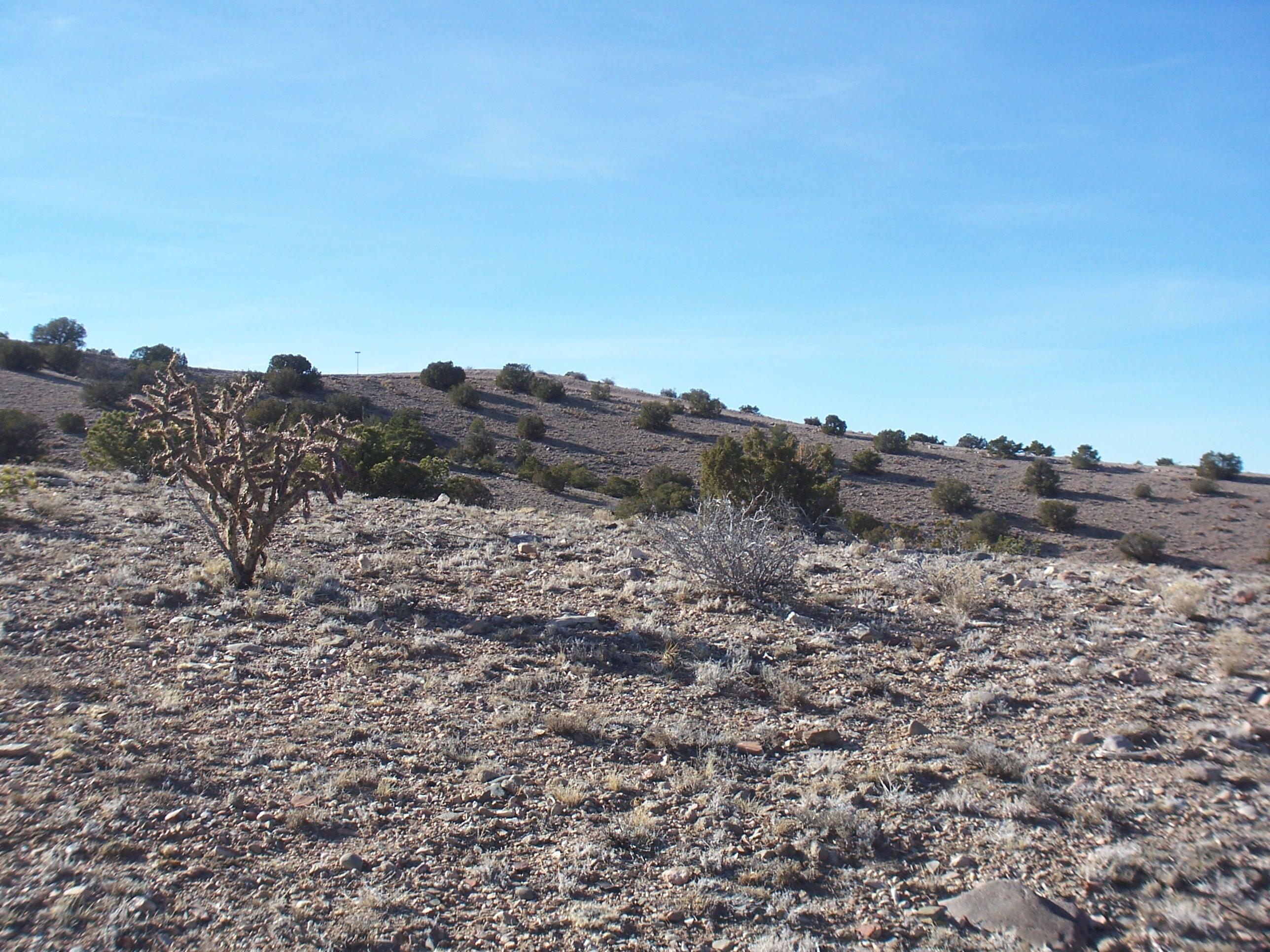 Photo 6 —  CAMINO HALCON