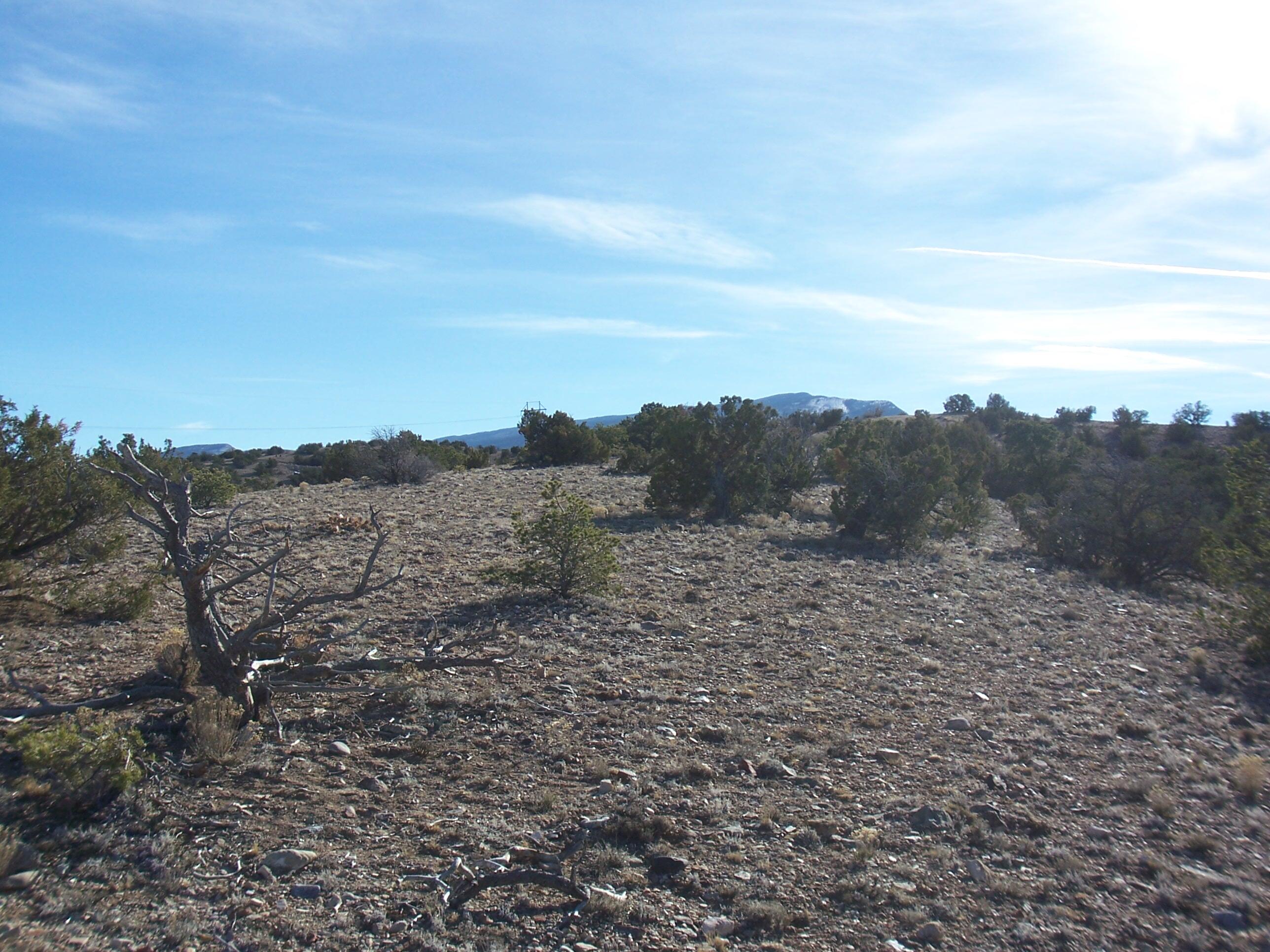 Photo 10 —  CAMINO HALCON