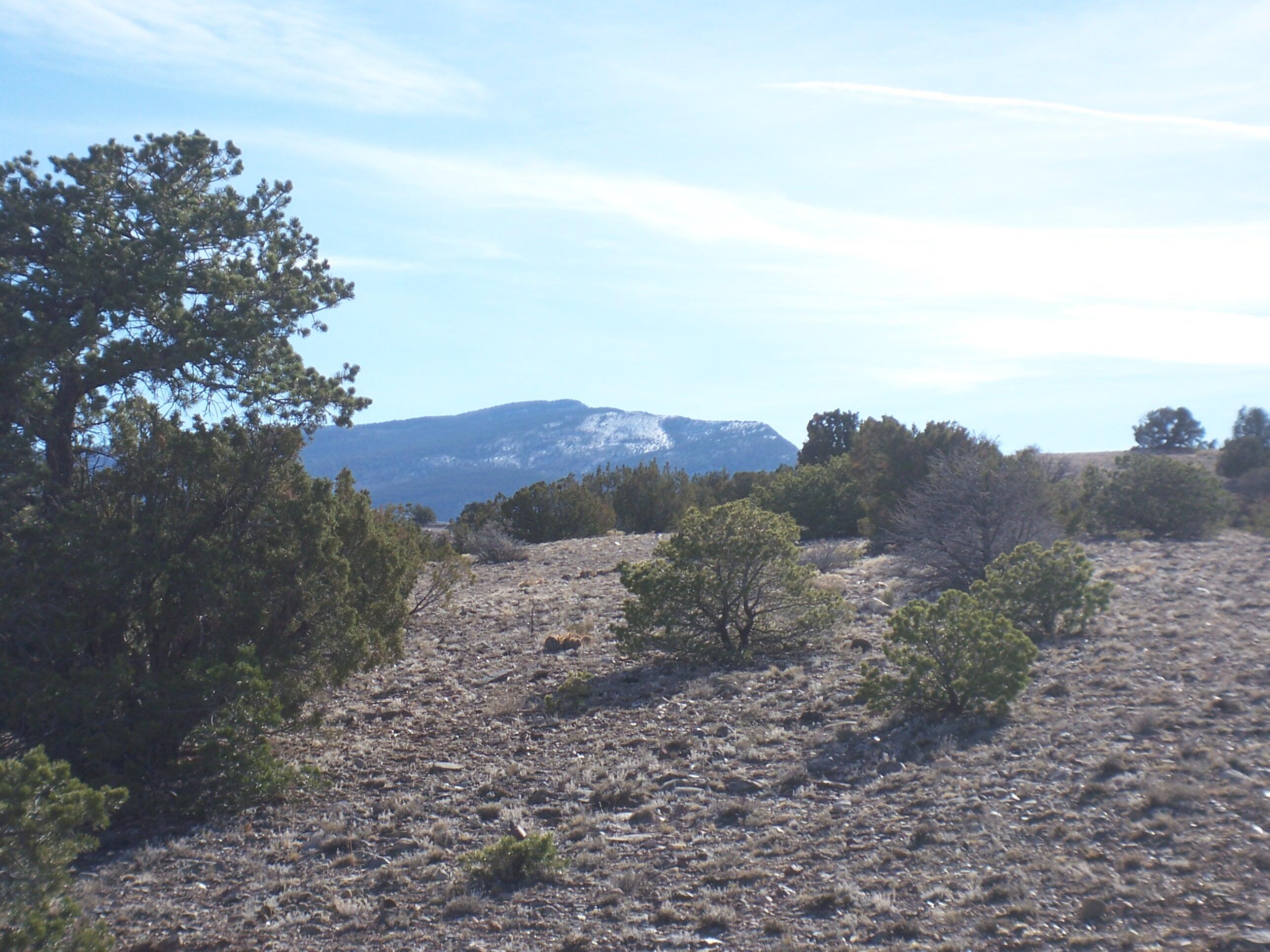 Photo 15 —  CAMINO HALCON