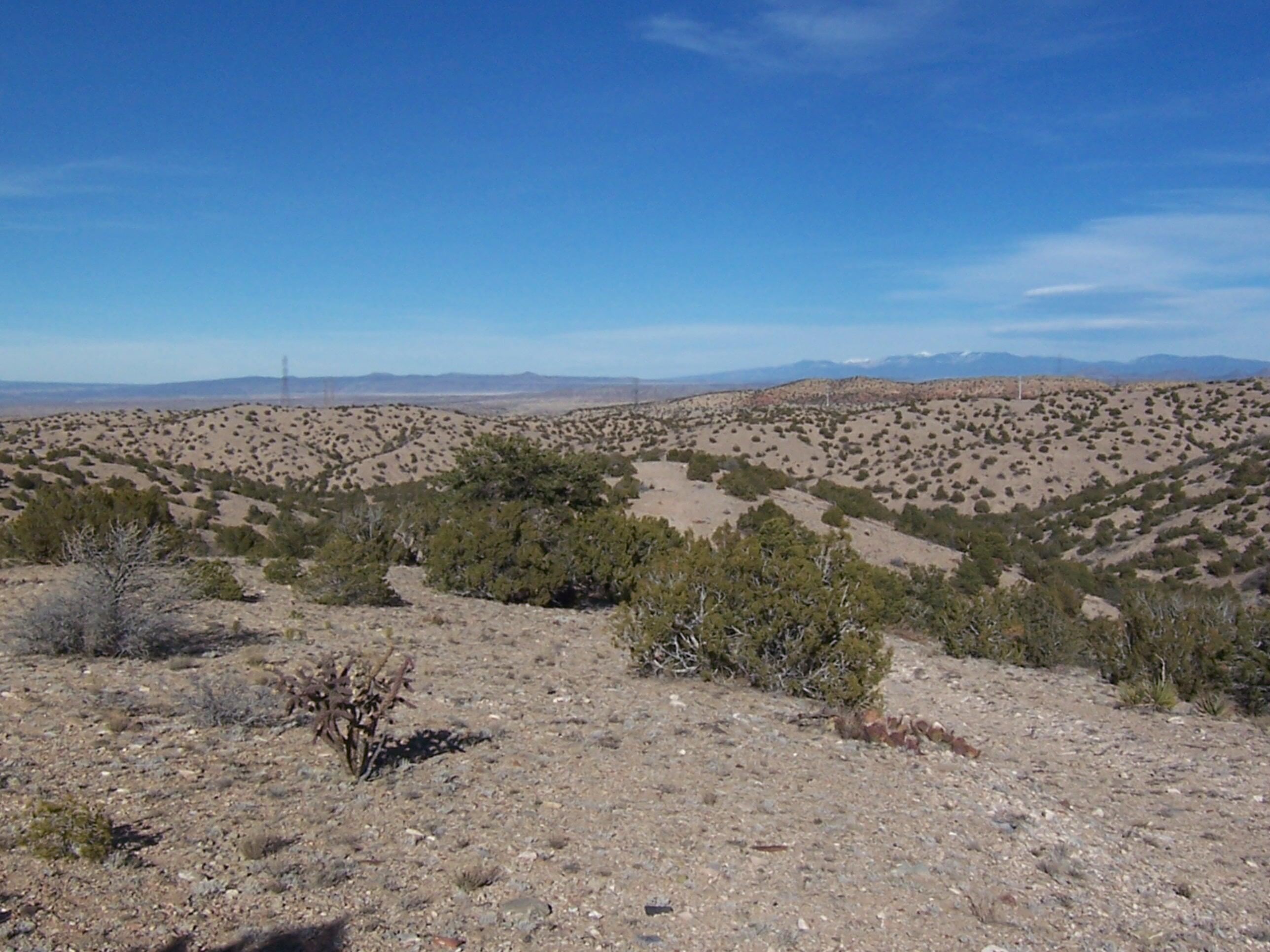 Photo 12 —  CAMINO HALCON