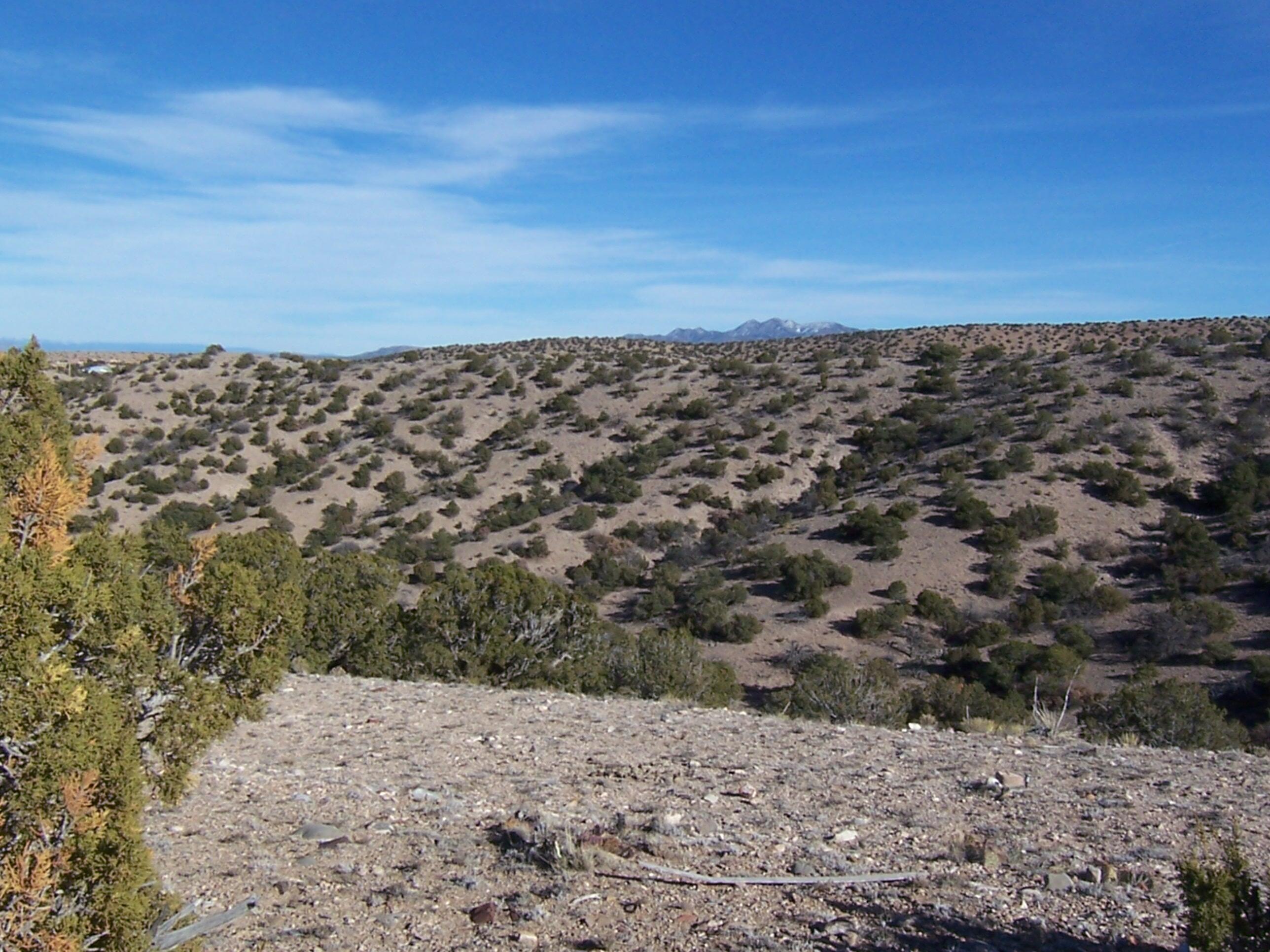 Photo 13 —  CAMINO HALCON