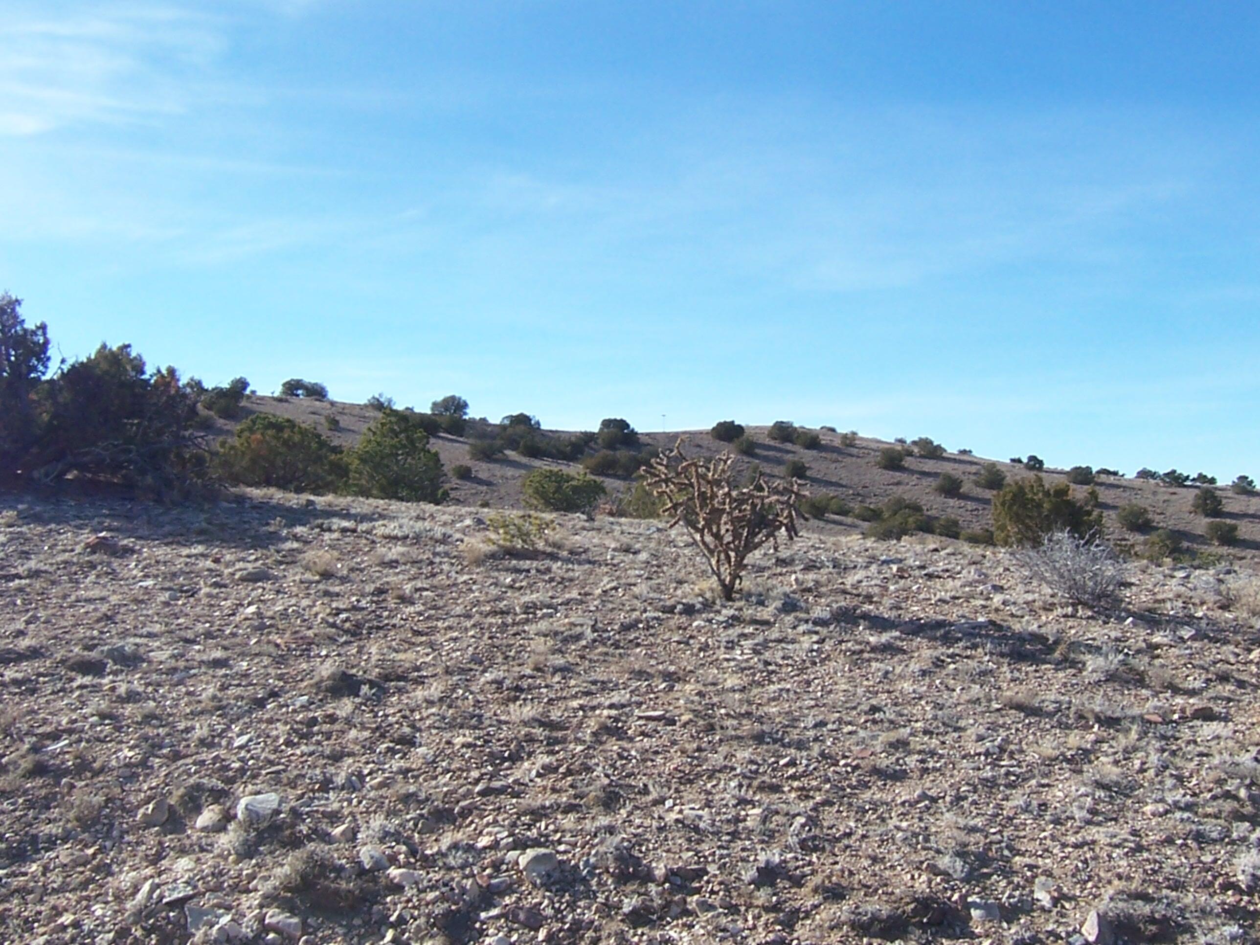 Photo 19 —  CAMINO HALCON