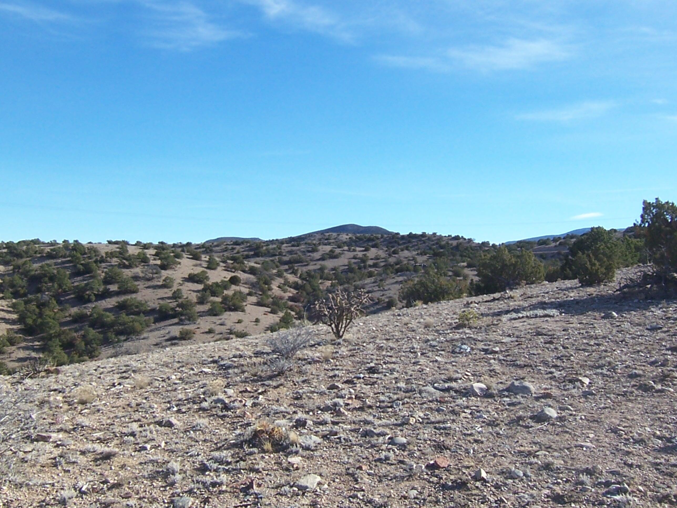 Photo 20 —  CAMINO HALCON