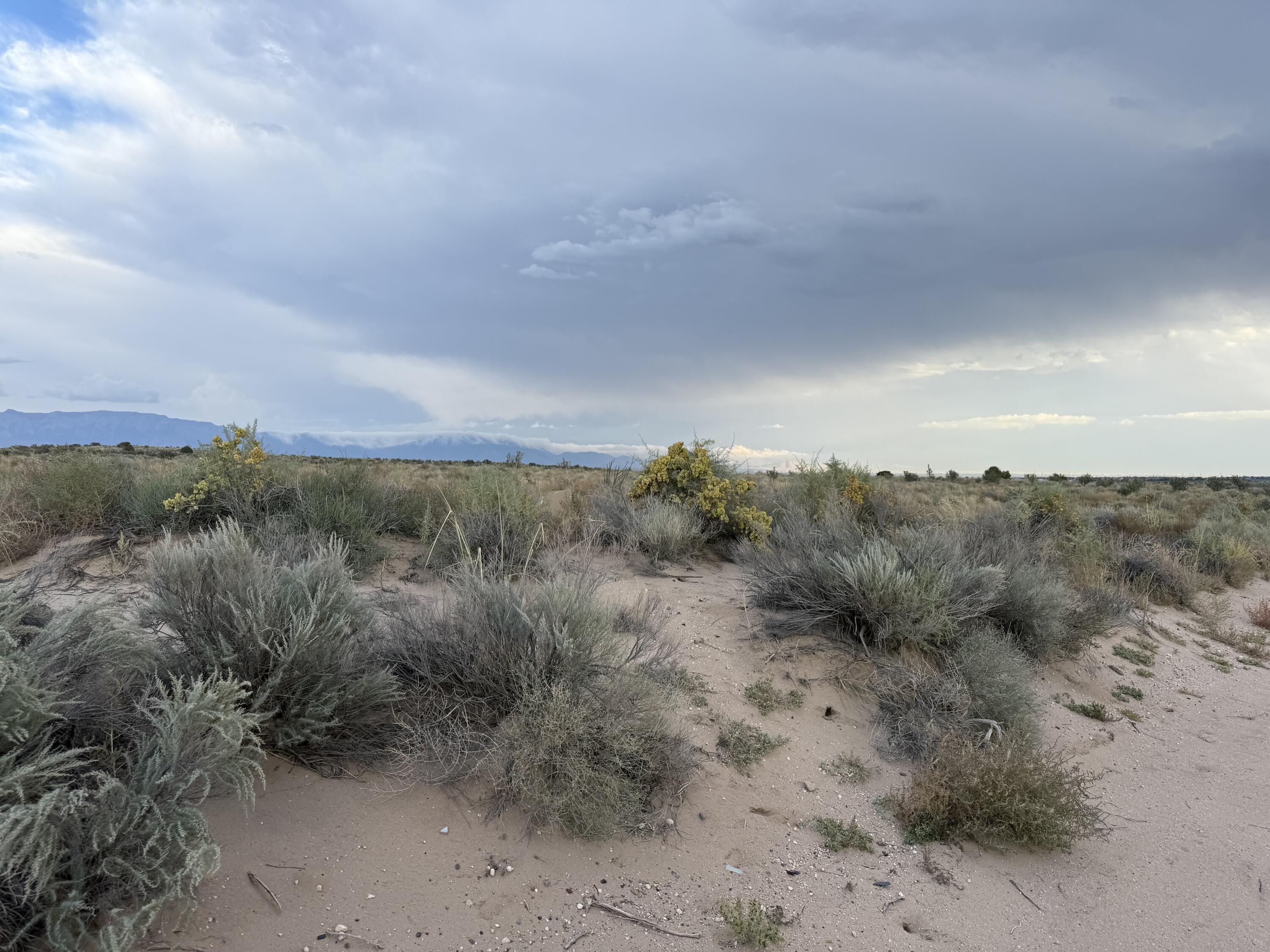 Photo 10 — Lot 1 14th Avenue SE