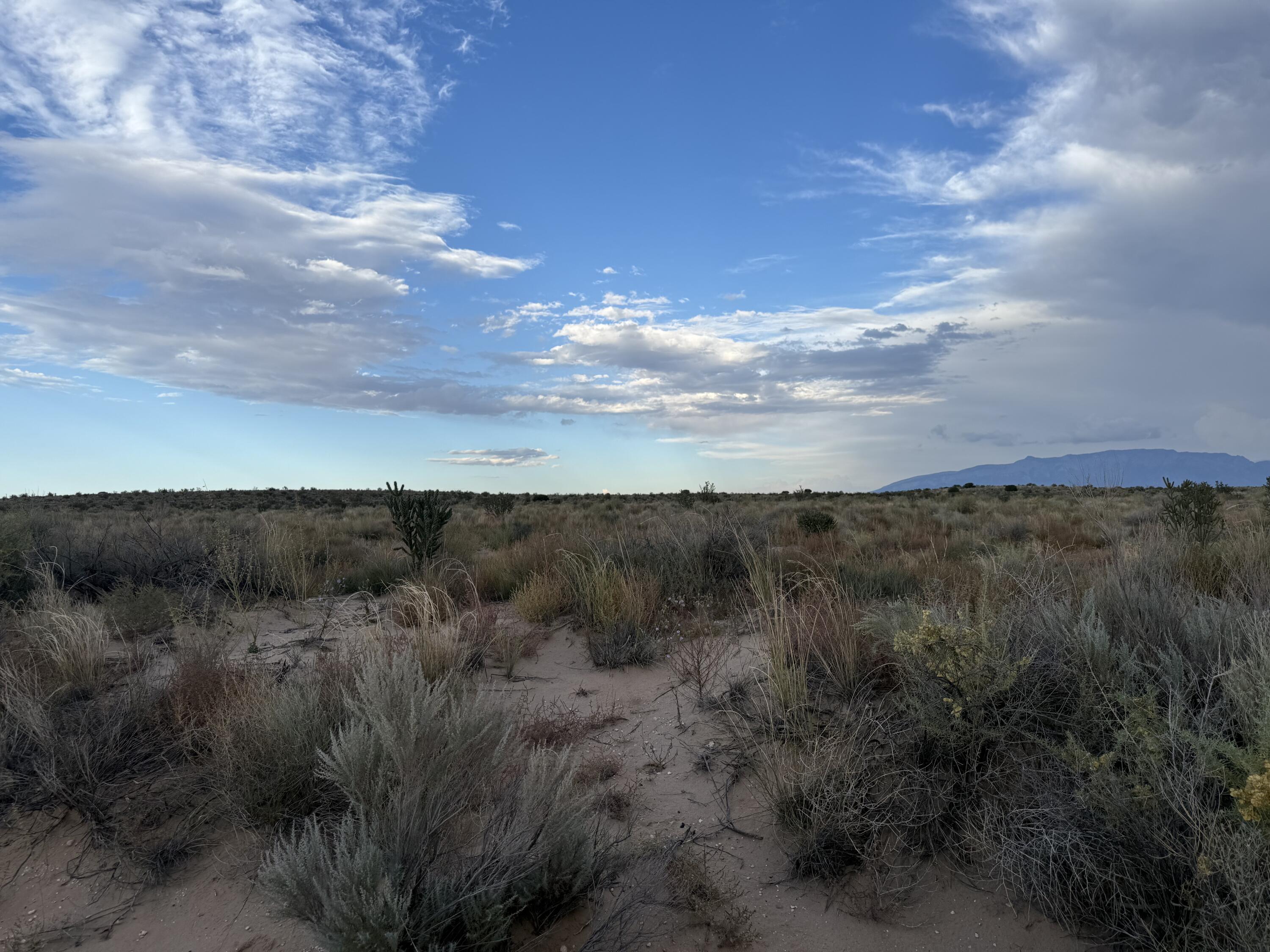 Photo 5 — Lot 1 14th Avenue SE