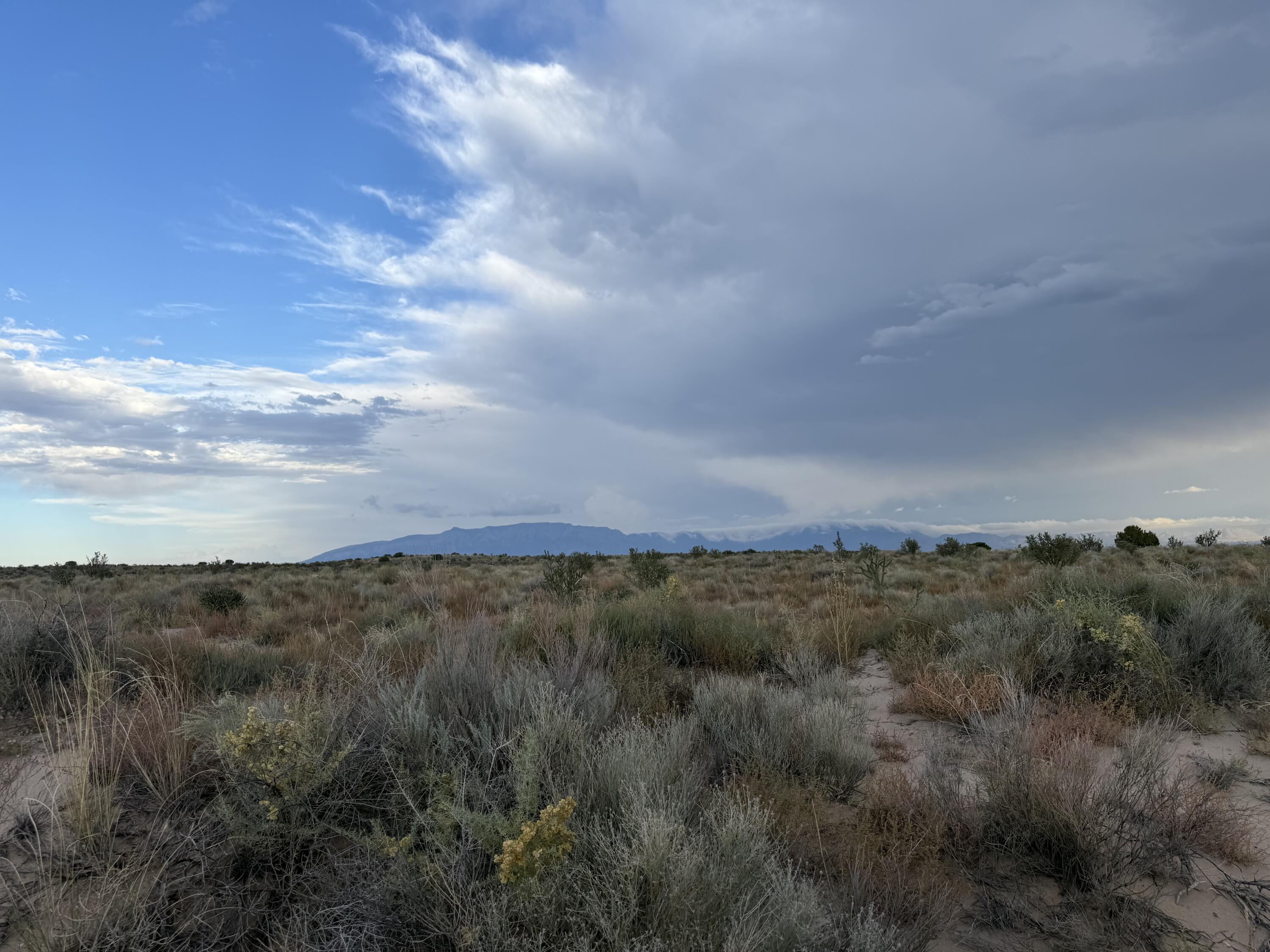Photo 6 — Lot 1 14th Avenue SE