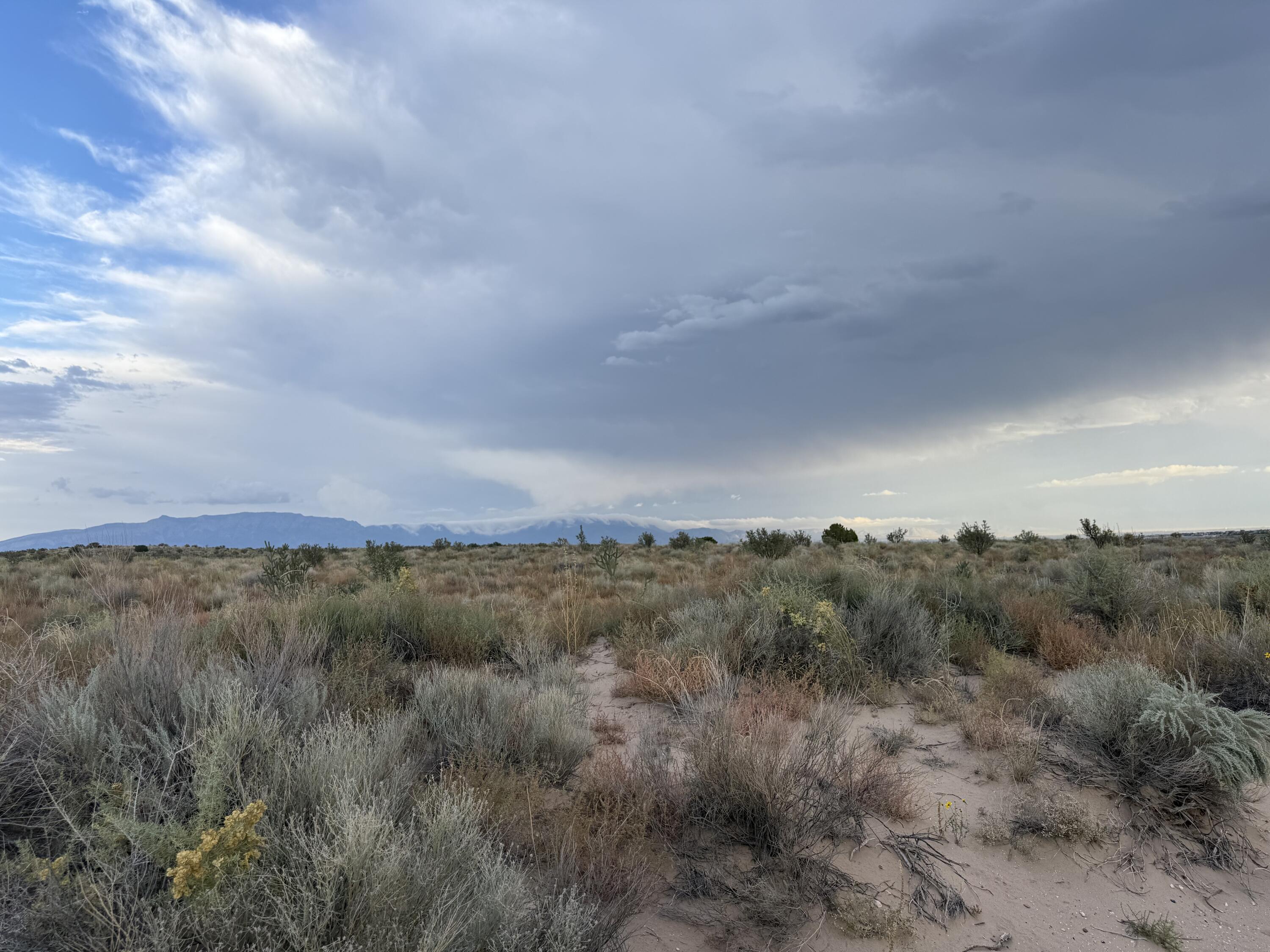 Photo 7 — Lot 1 14th Avenue SE