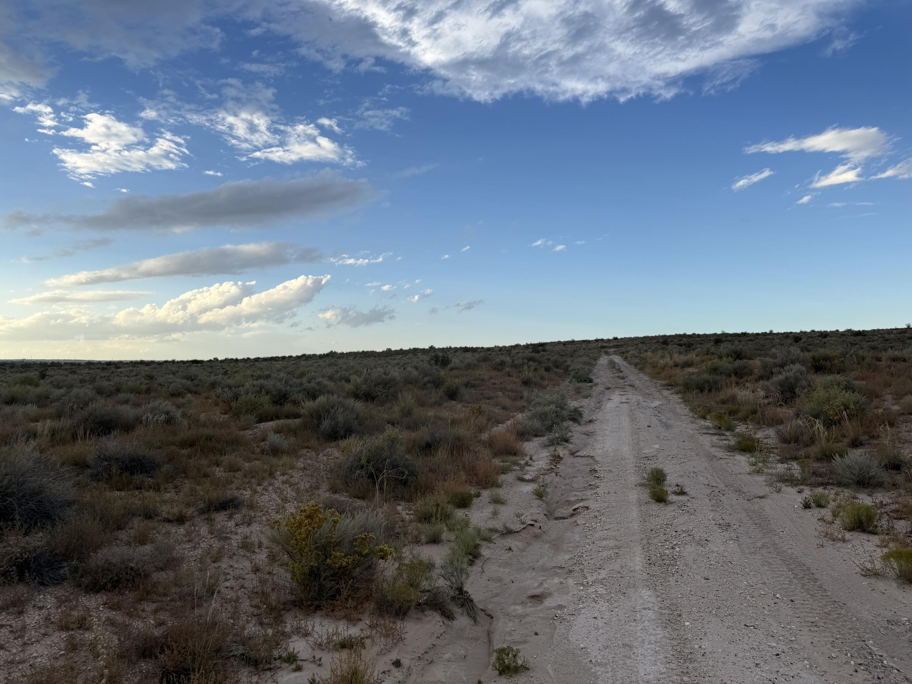 Photo 4 — Lot 8 2nd Street SW