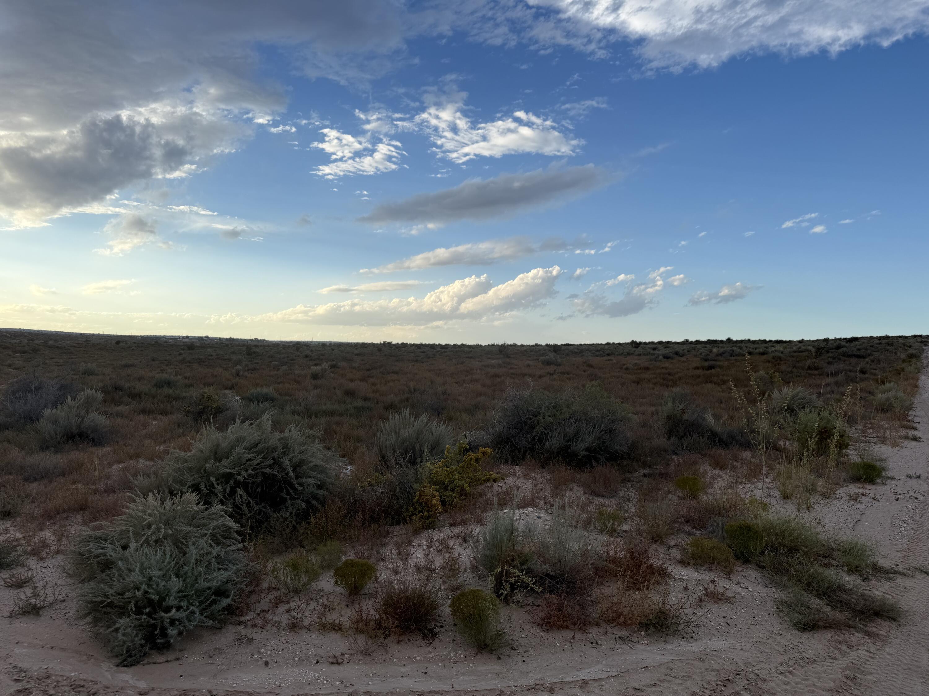 Photo 5 — Lot 8 2nd Street SW