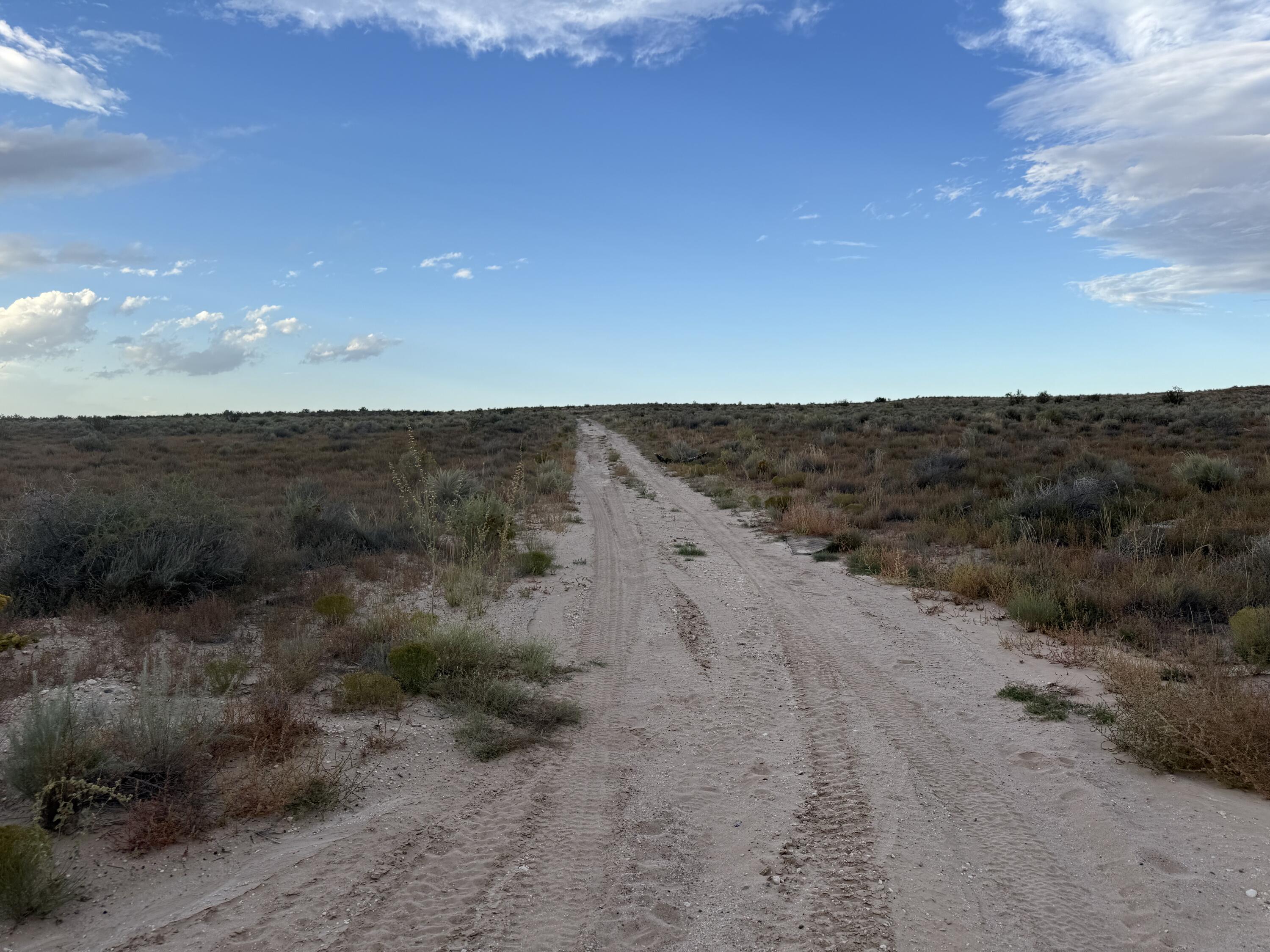Photo 7 — Lot 8 2nd Street SW