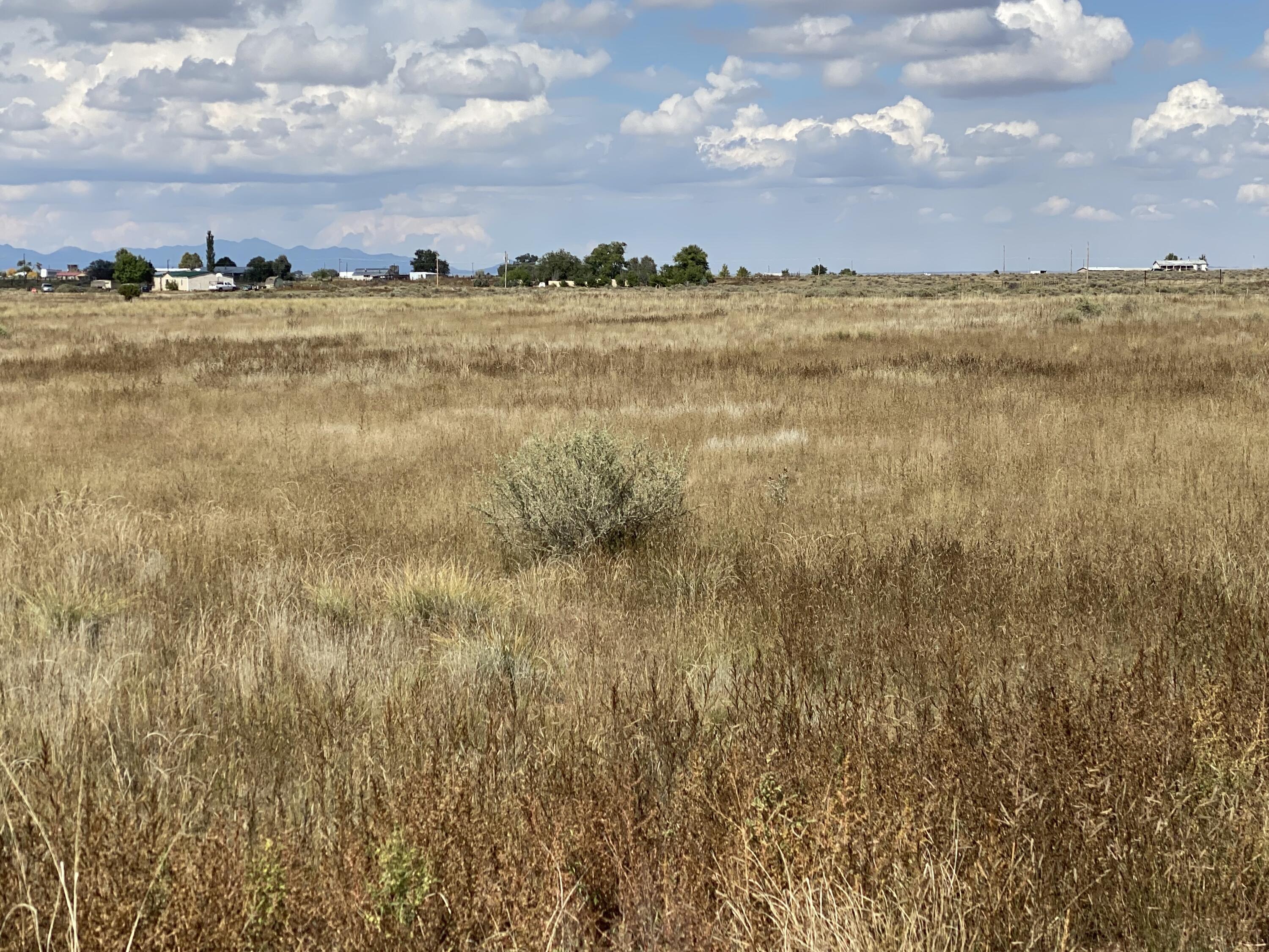 Photo 5 —  Yucca Lane