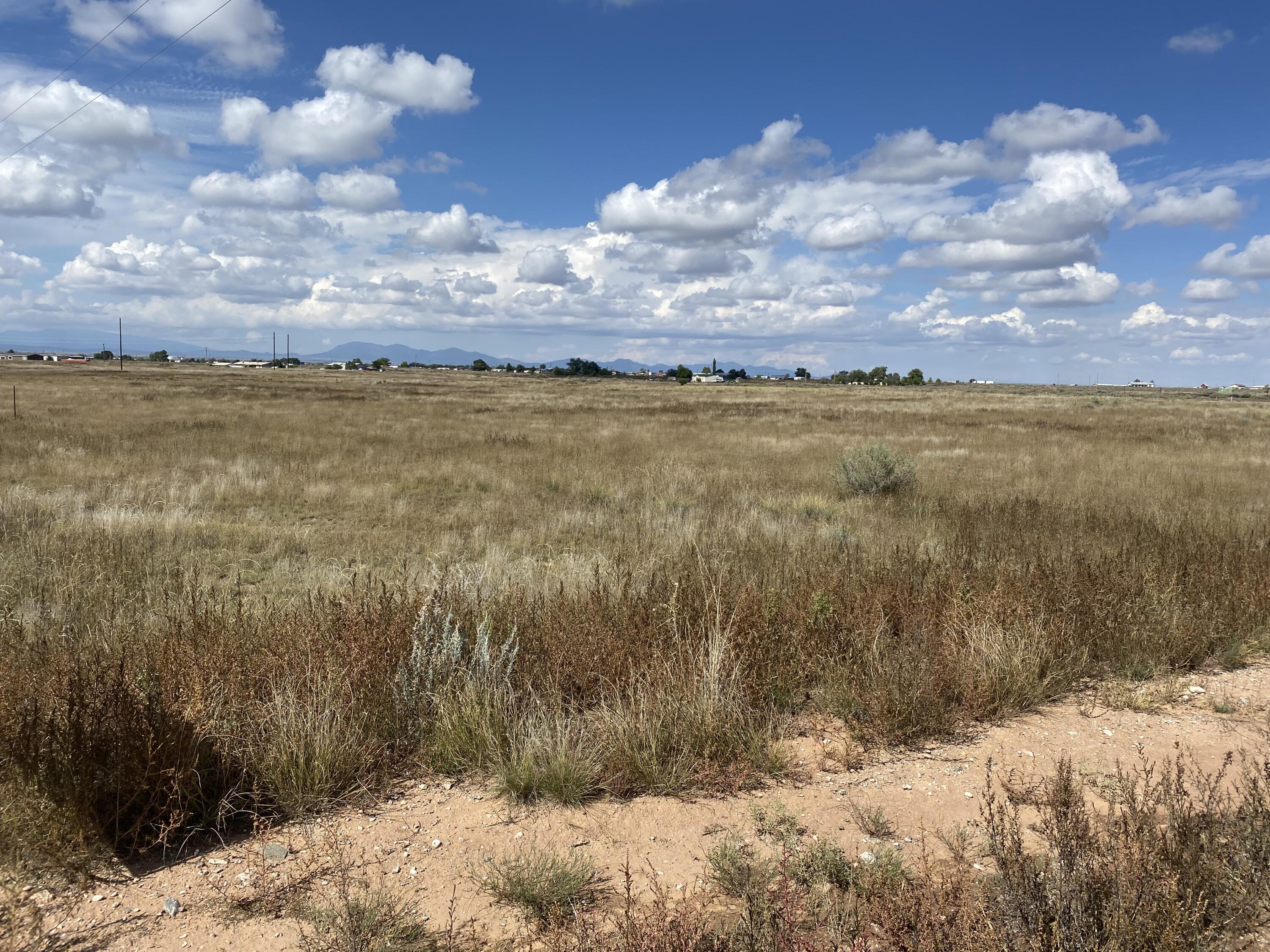 Photo 2 —  Yucca Lane