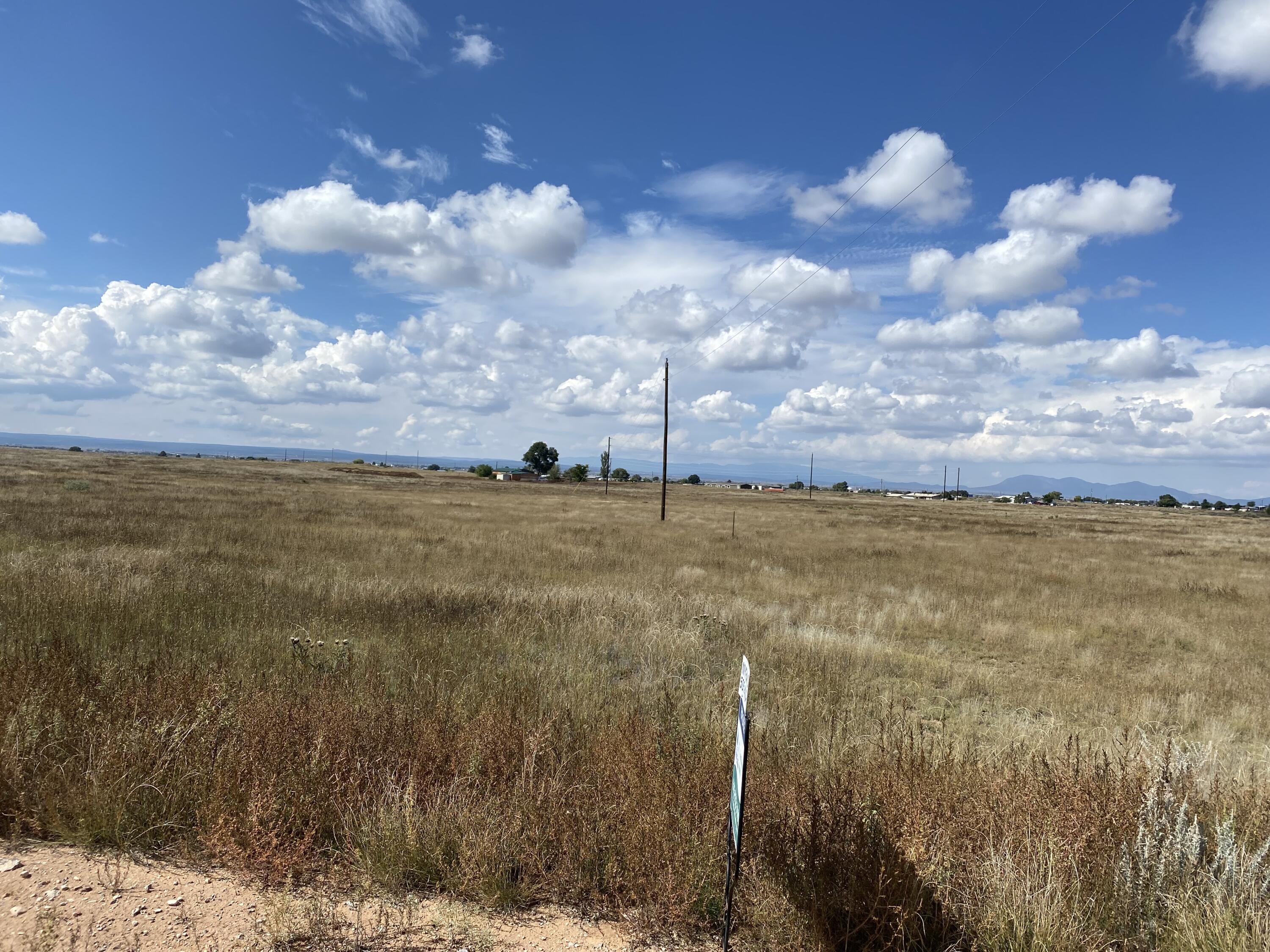 Photo 3 —  Yucca Lane