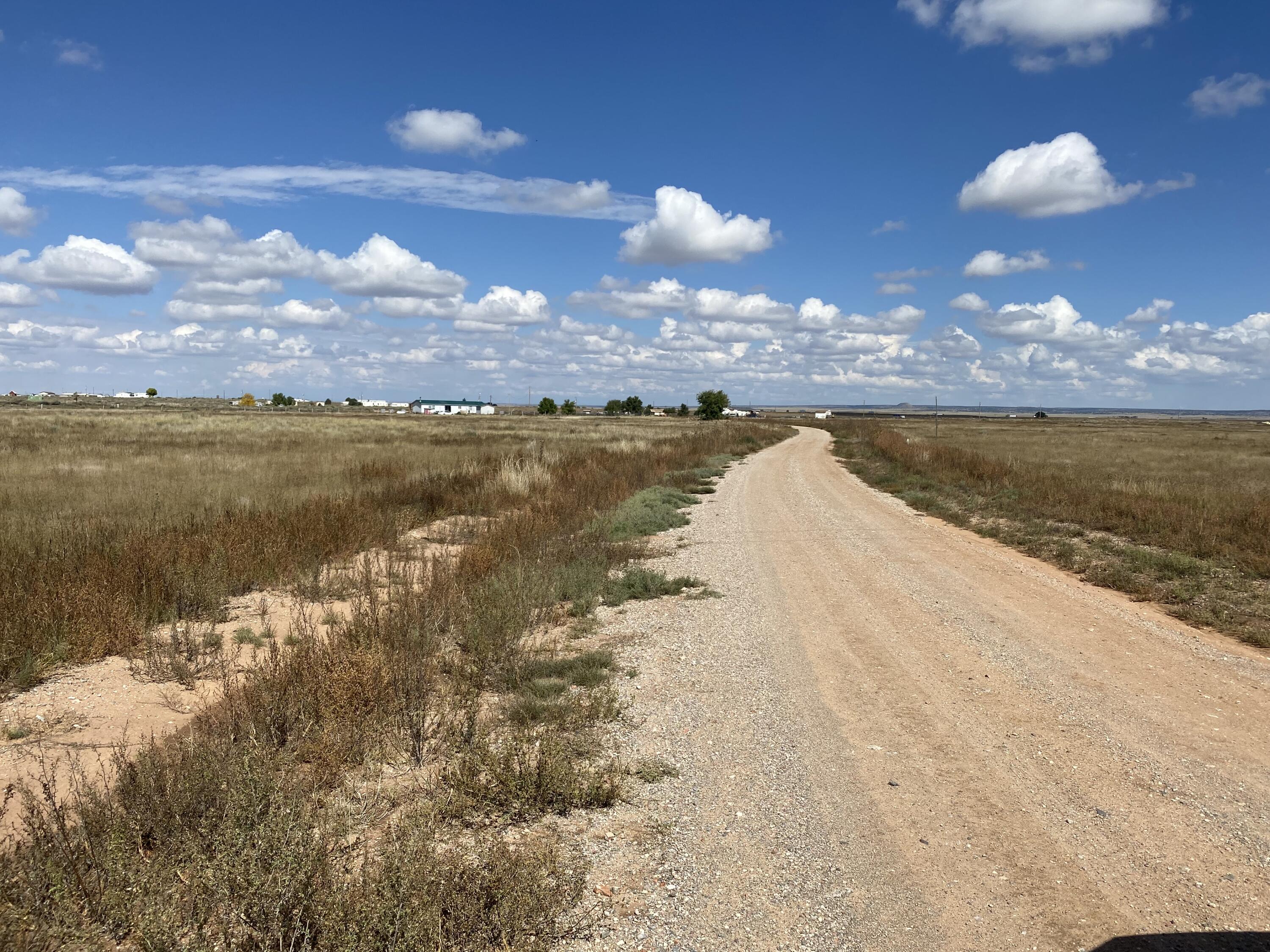 Photo 4 —  Yucca Lane