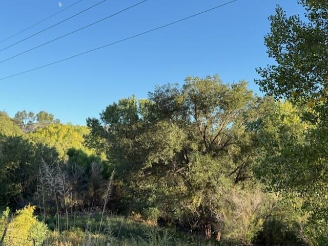 Photo 11 — 29224 U.S. Highway 70
