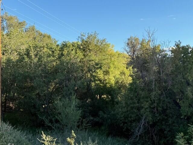 Photo 12 — 29224 U.S. Highway 70