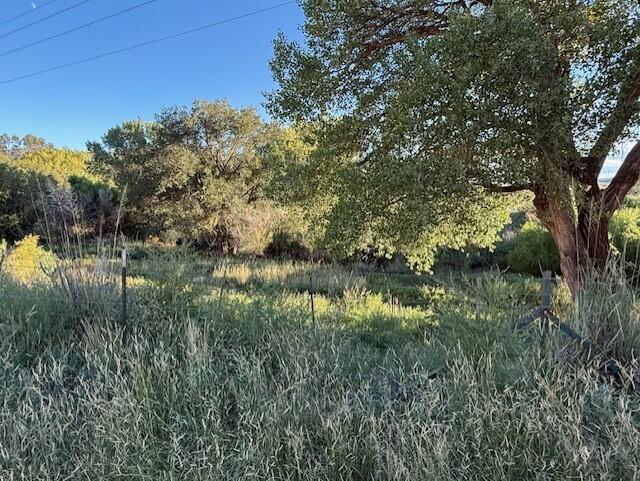 Photo 2 — 29224 U.S. Highway 70