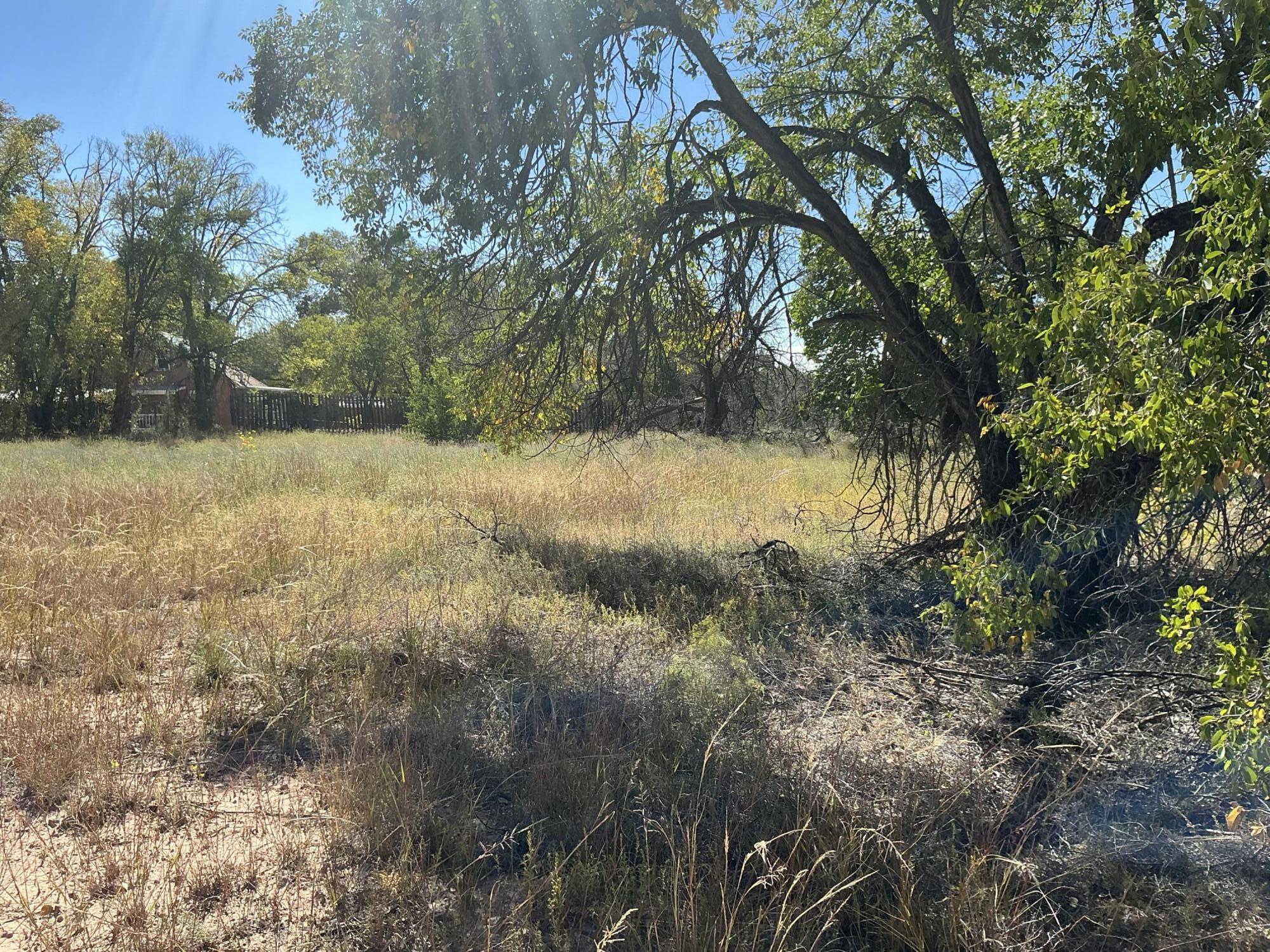 Photo 5 — 12 Arroyo Los Lopez (TBD) Road