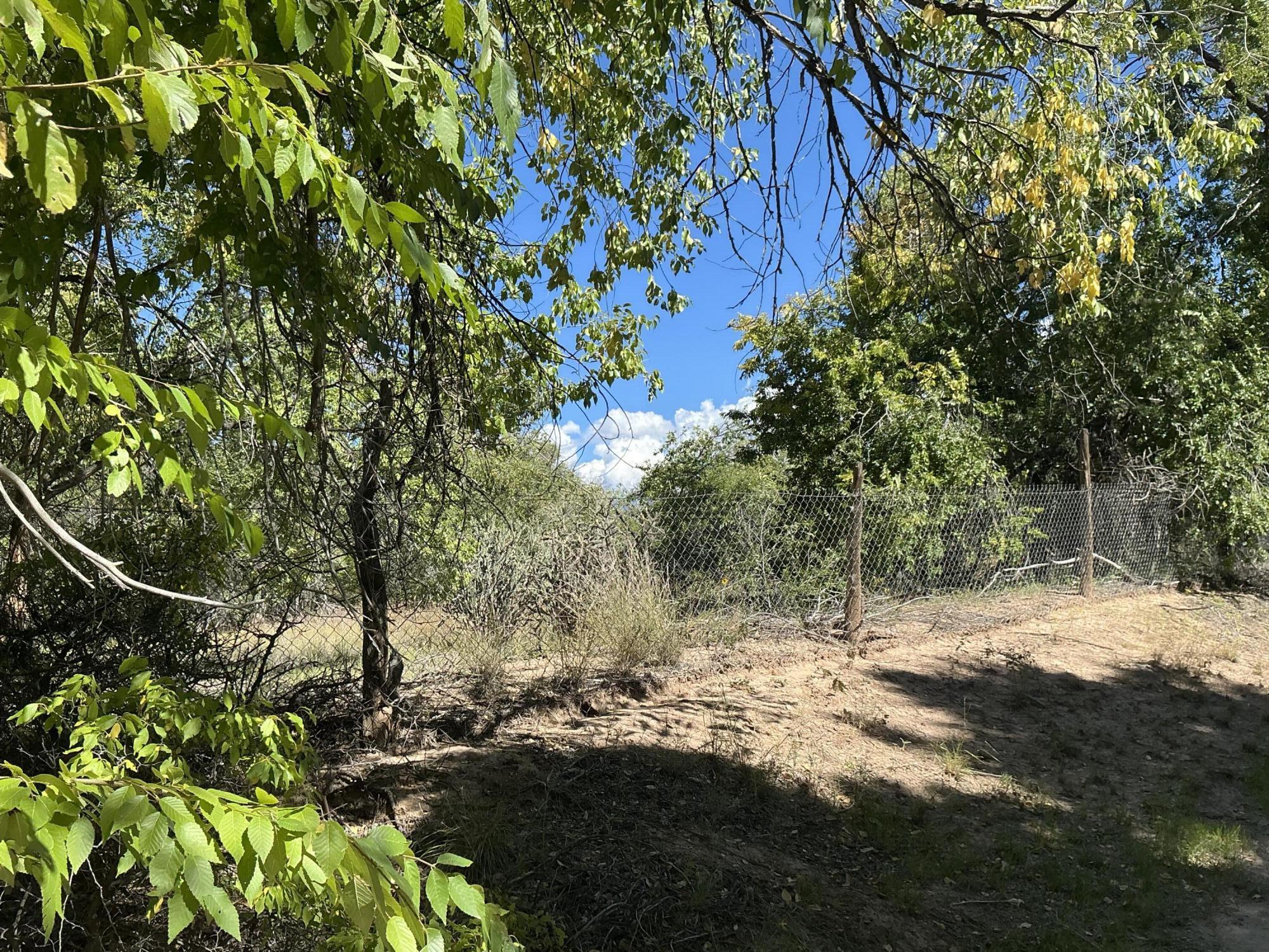 Photo 15 — 12 Arroyo Los Lopez (TBD) Road