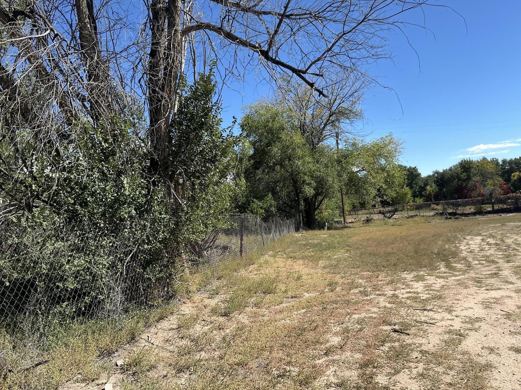 Photo 14 — 12 Arroyo Los Lopez (TBD) Road
