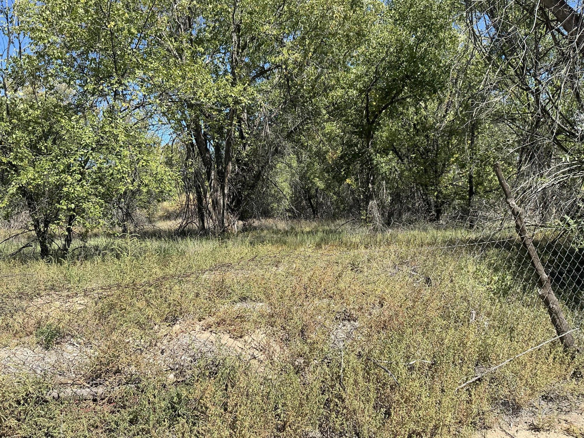 Photo 13 — 12 Arroyo Los Lopez (TBD) Road