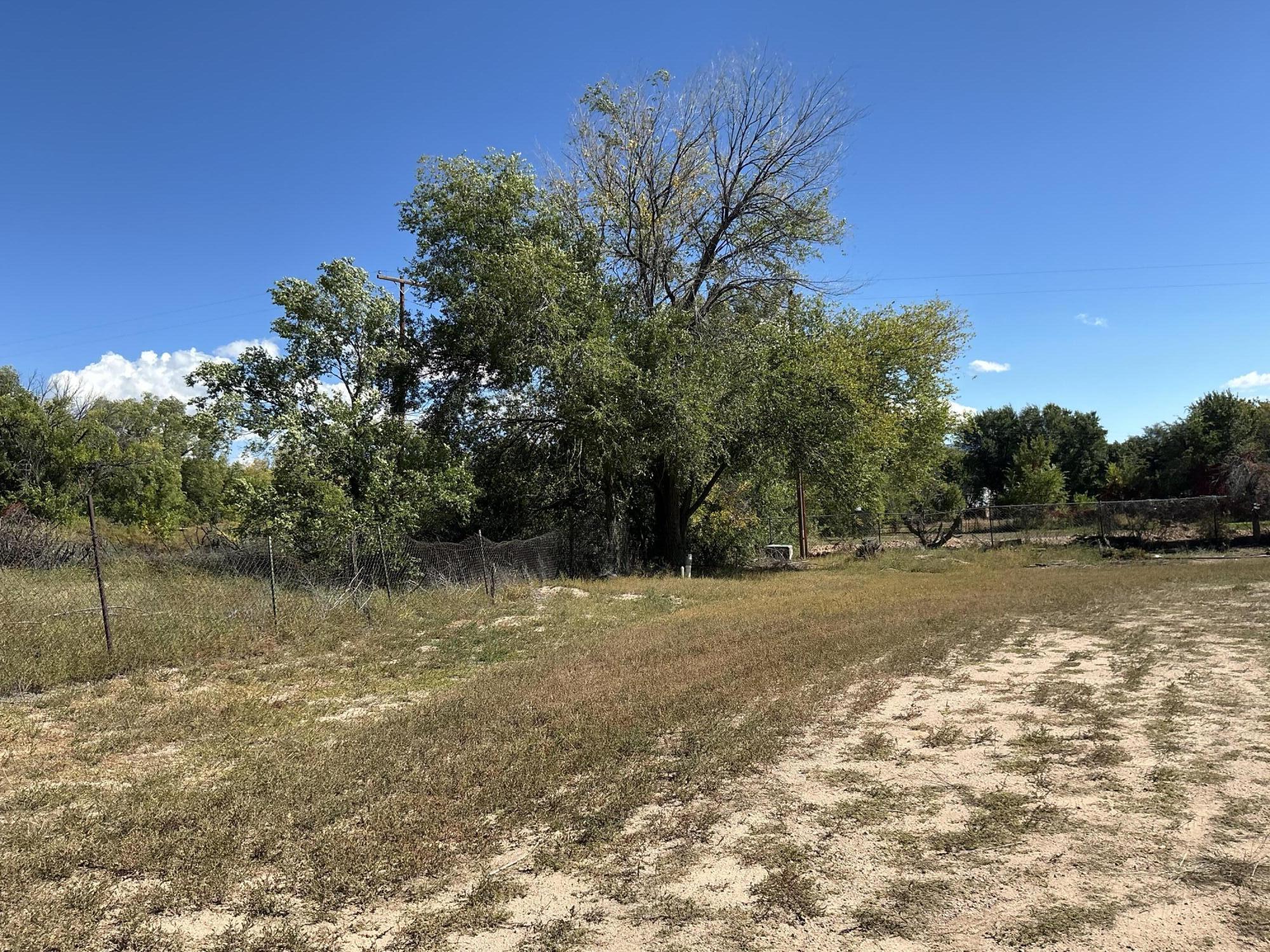 Photo 11 — 12 Arroyo Los Lopez (TBD) Road