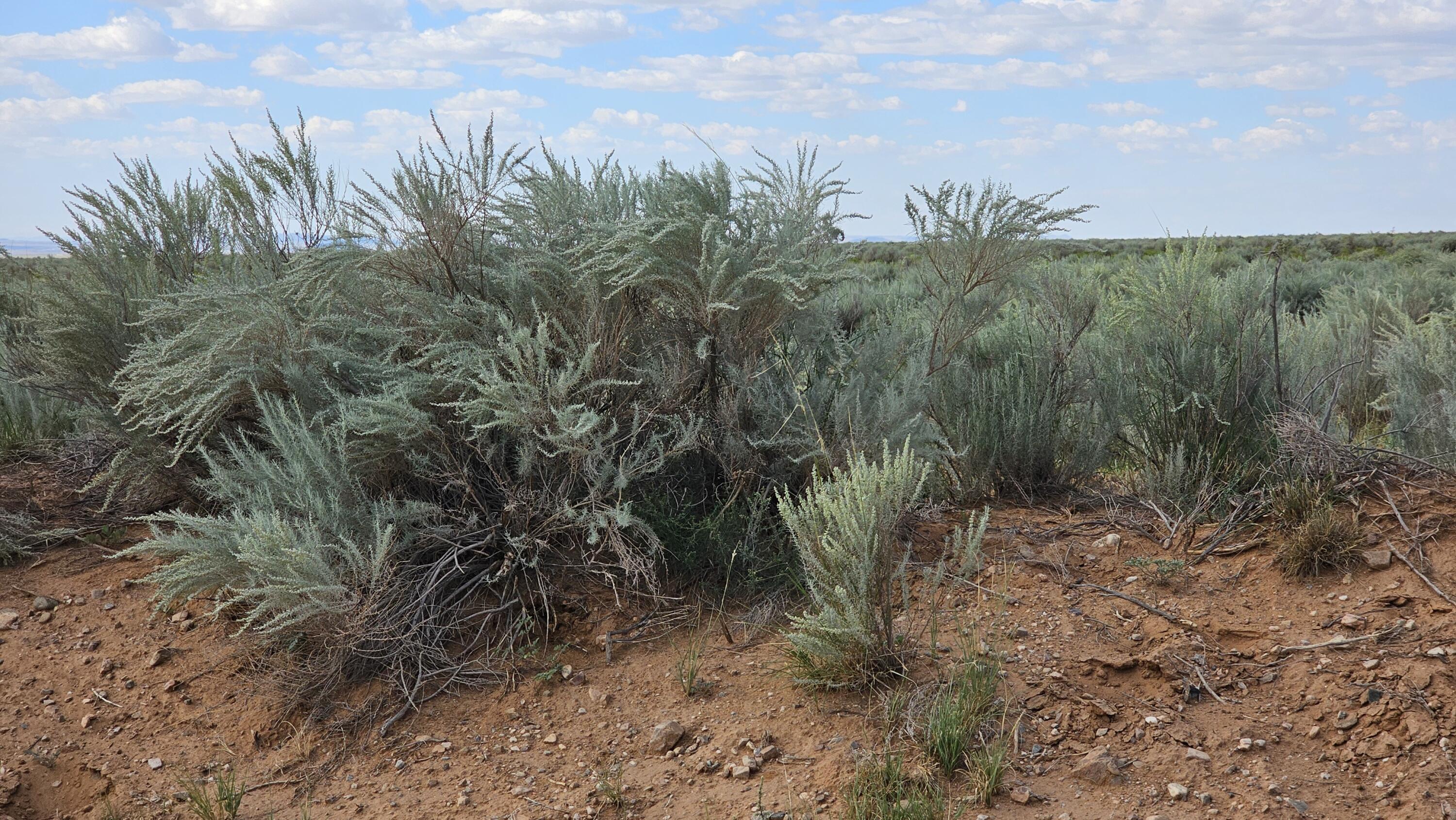 Photo 5 — VL LOT 19 BLOCK 377 17