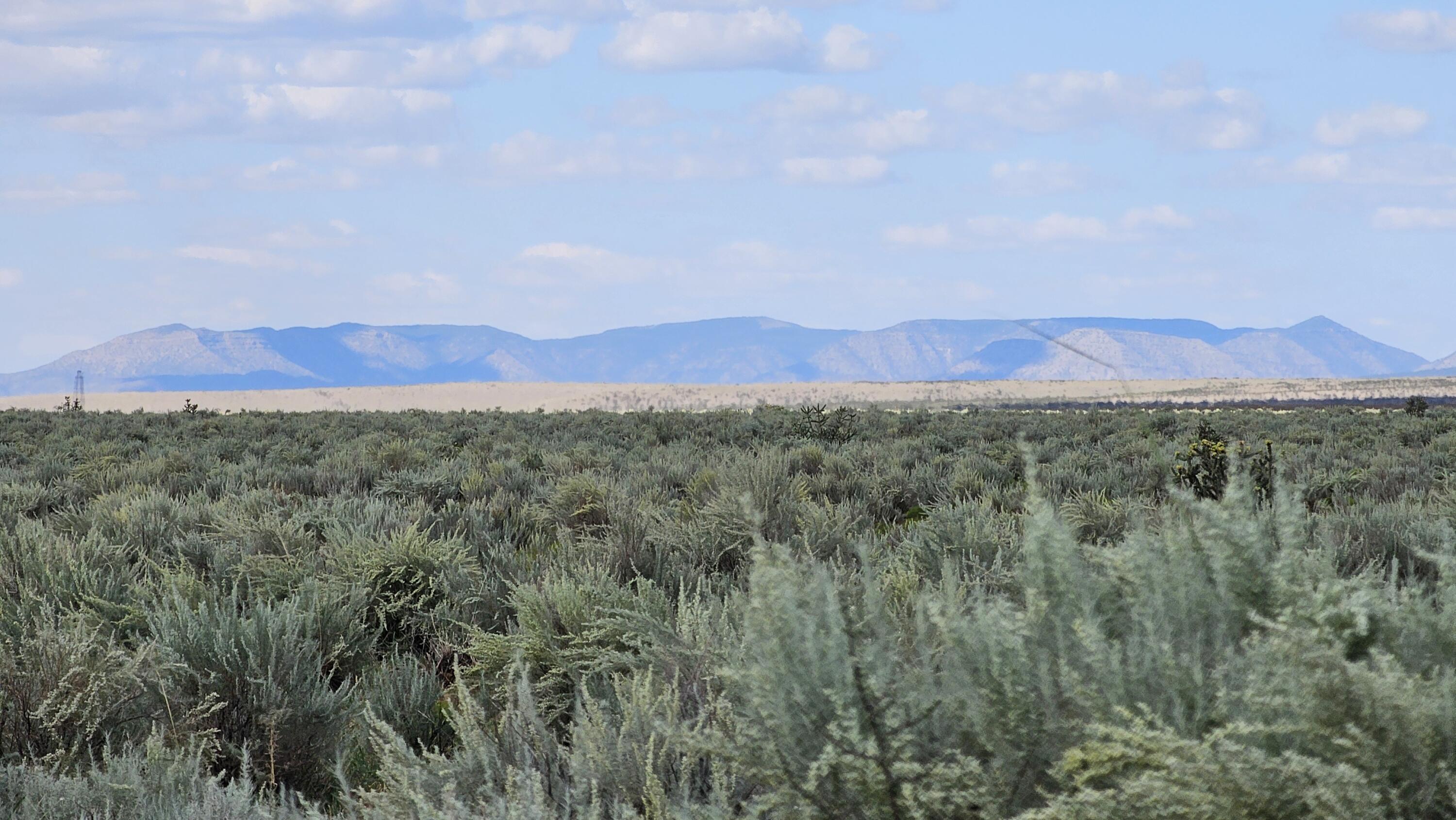 Photo 4 — VL LOT 19 BLOCK 377 17