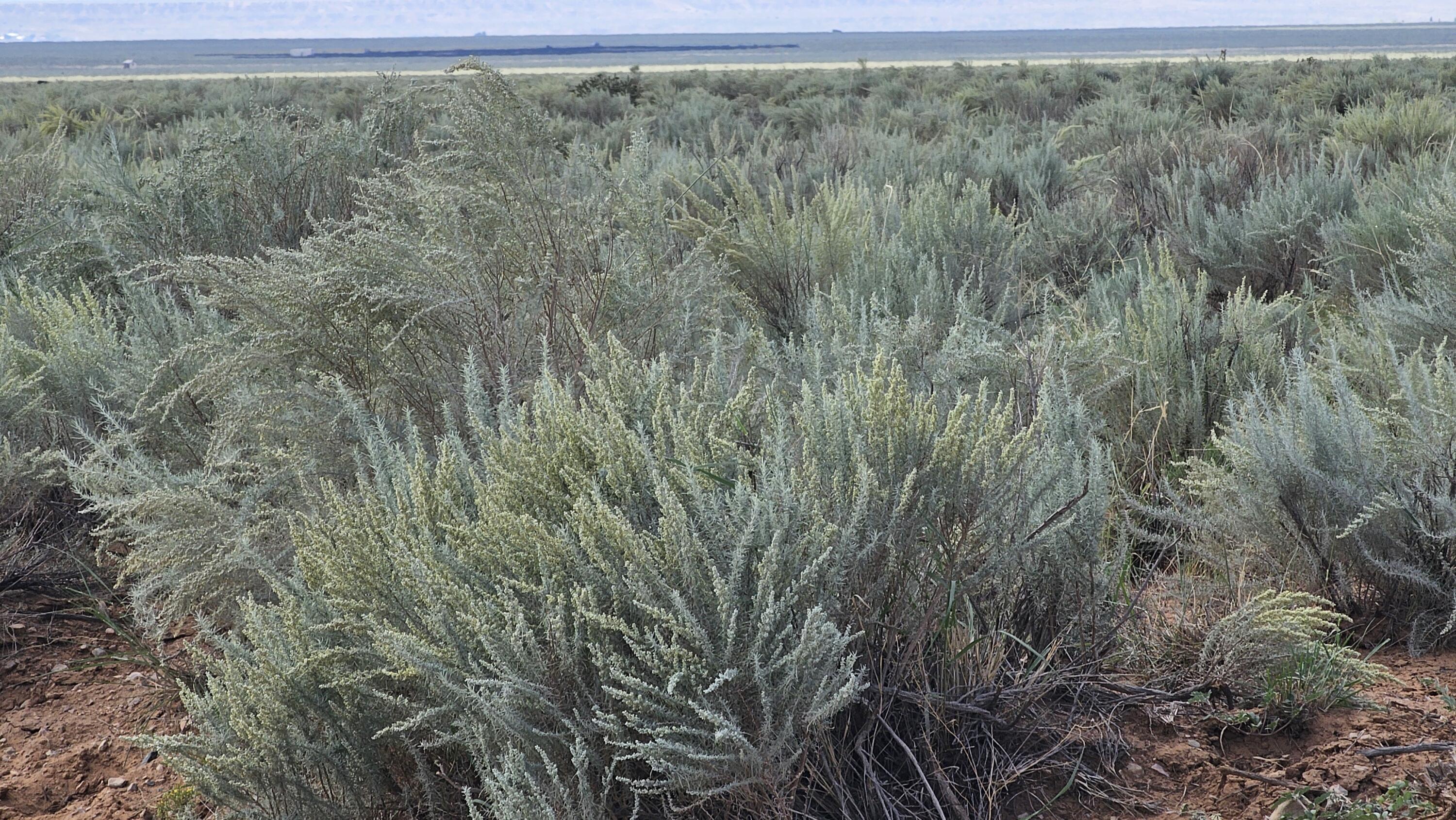 VL LOTS 18 Block 377 17, Rio Communities, NM 87002