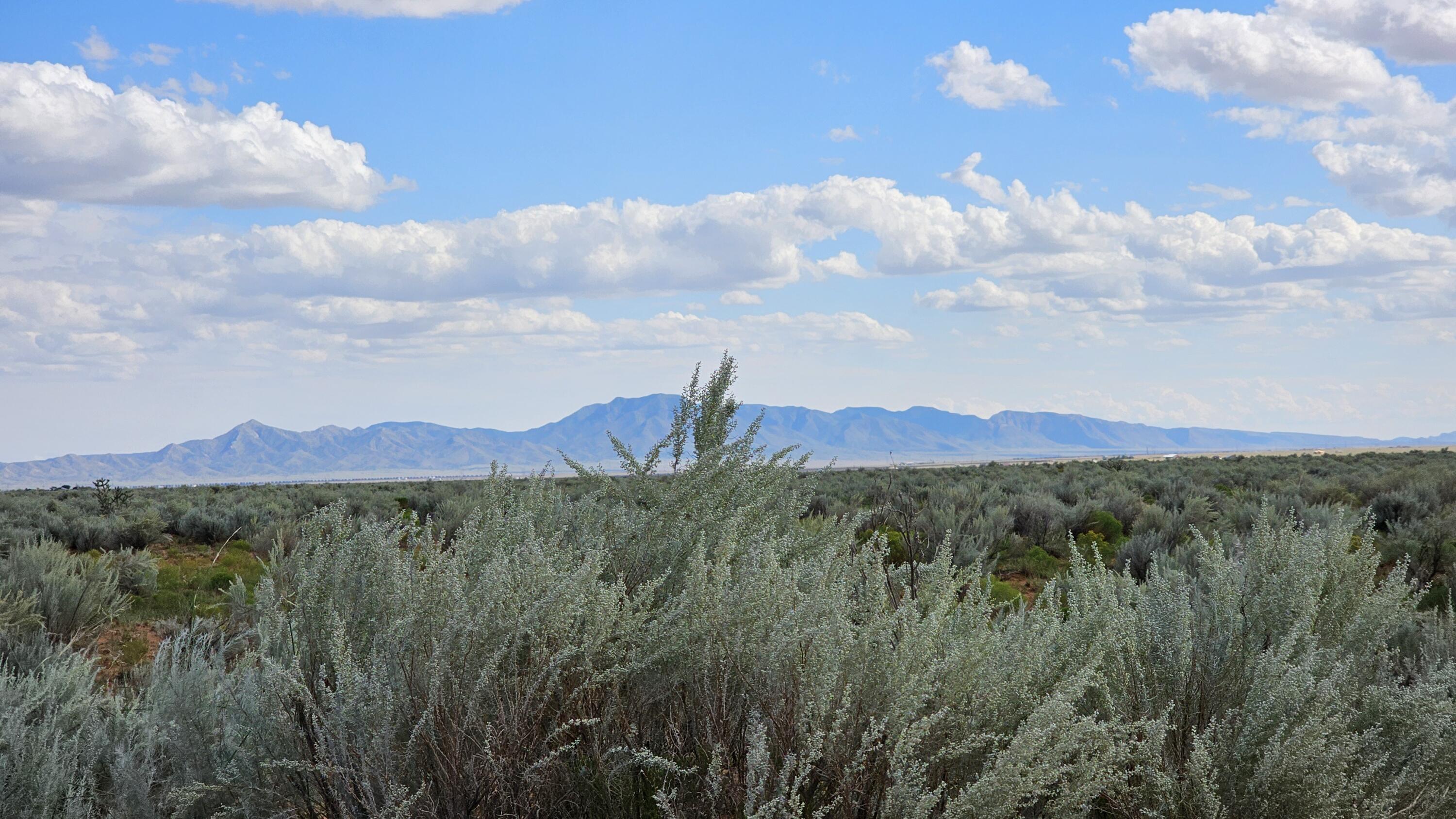 Photo 4 — RGE LOT 14 BLOCK 589 25
