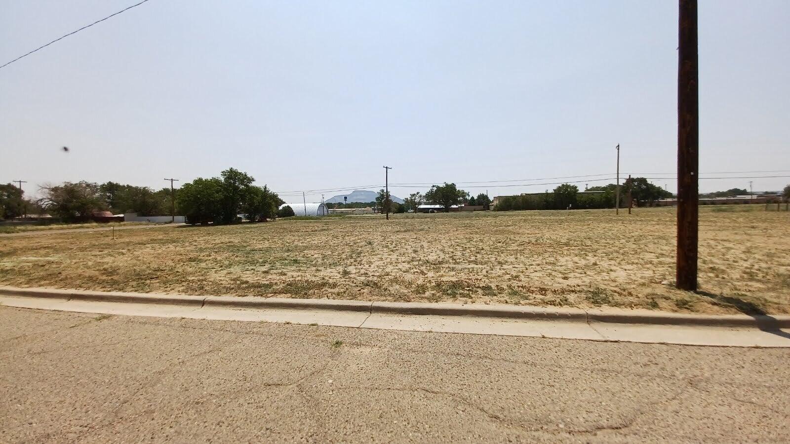 Photo 2 — 924 E LAUGHLIN Avenue