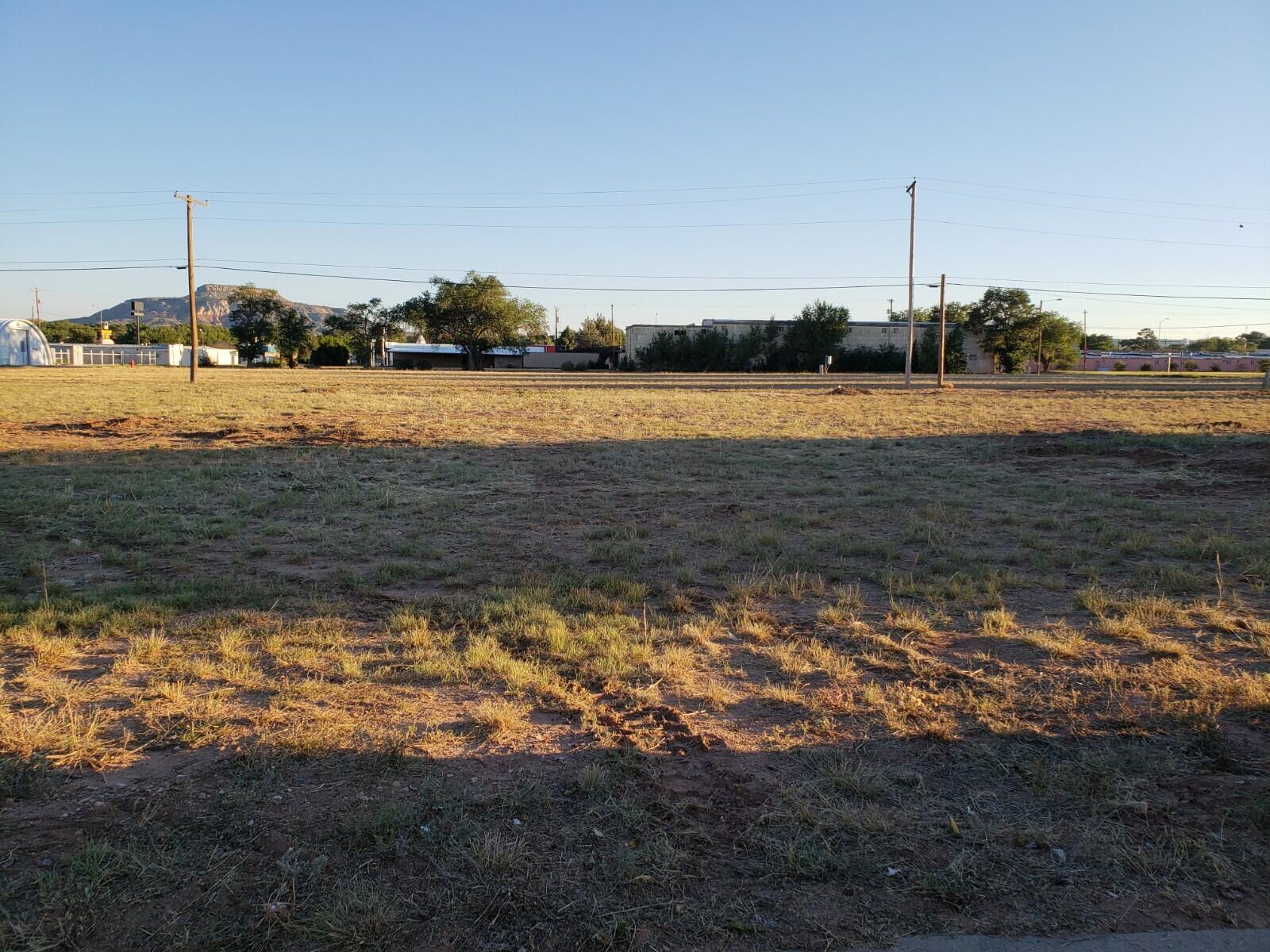 Photo 5 — 924 E LAUGHLIN Avenue