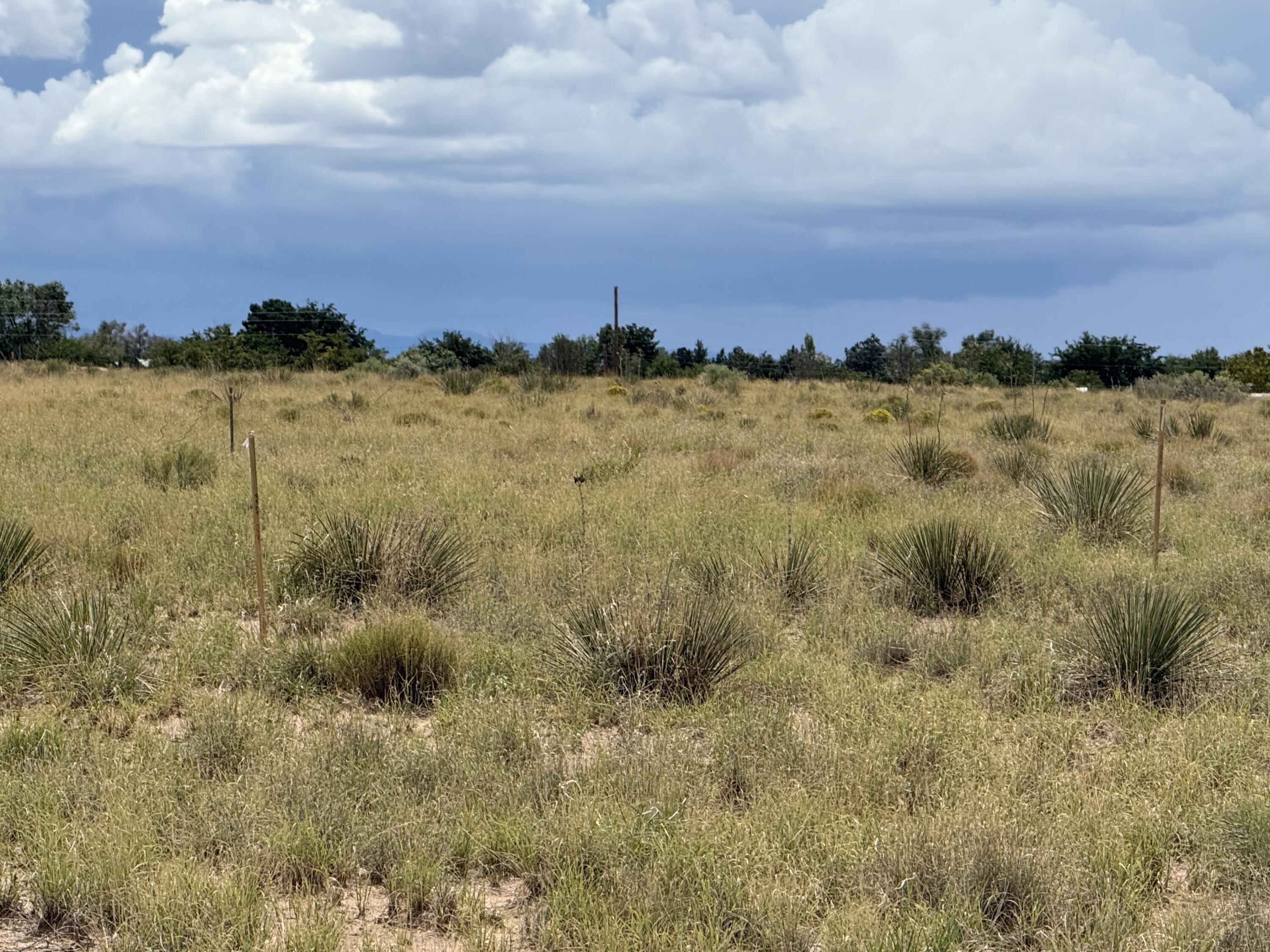 Photo 8 —  Lot A Rio Del Oro