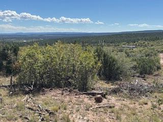 Photo 16 —  Capilla Peak Road