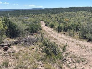 Photo 6 —  Capilla Peak Road
