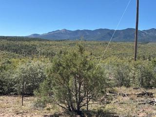 Photo 7 —  Capilla Peak Road