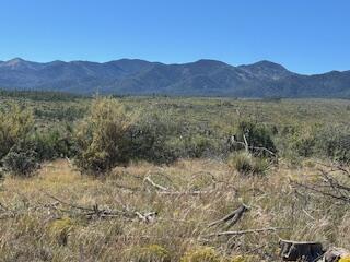 Photo 4 —  Capilla Peak Road
