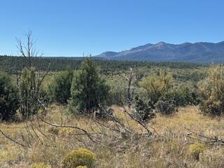 Photo 3 —  Capilla Peak Road