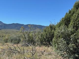 Photo 2 —  Capilla Peak Road