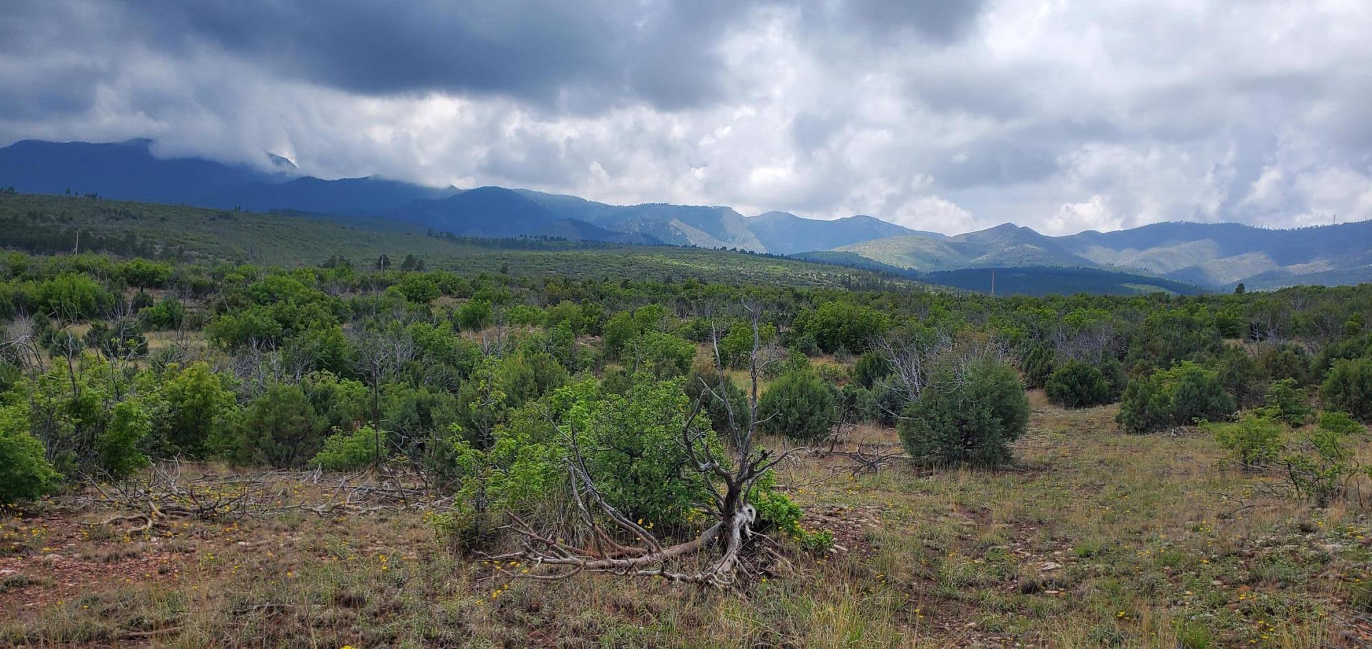 Photo 8 —  Capilla Peak Road